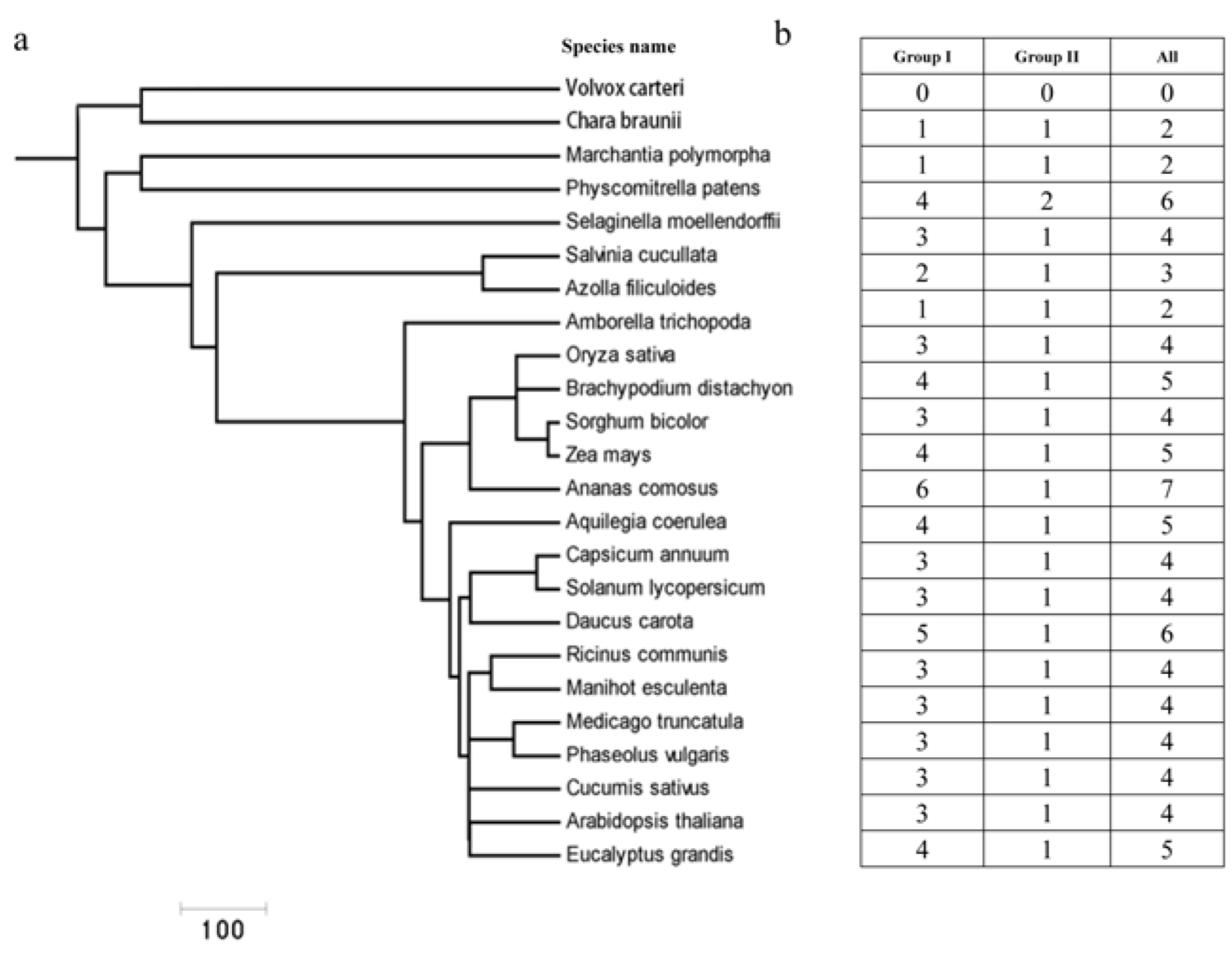 Ijms 23 07082 g001 550