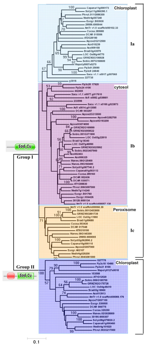 Ijms 23 07082 g003 550