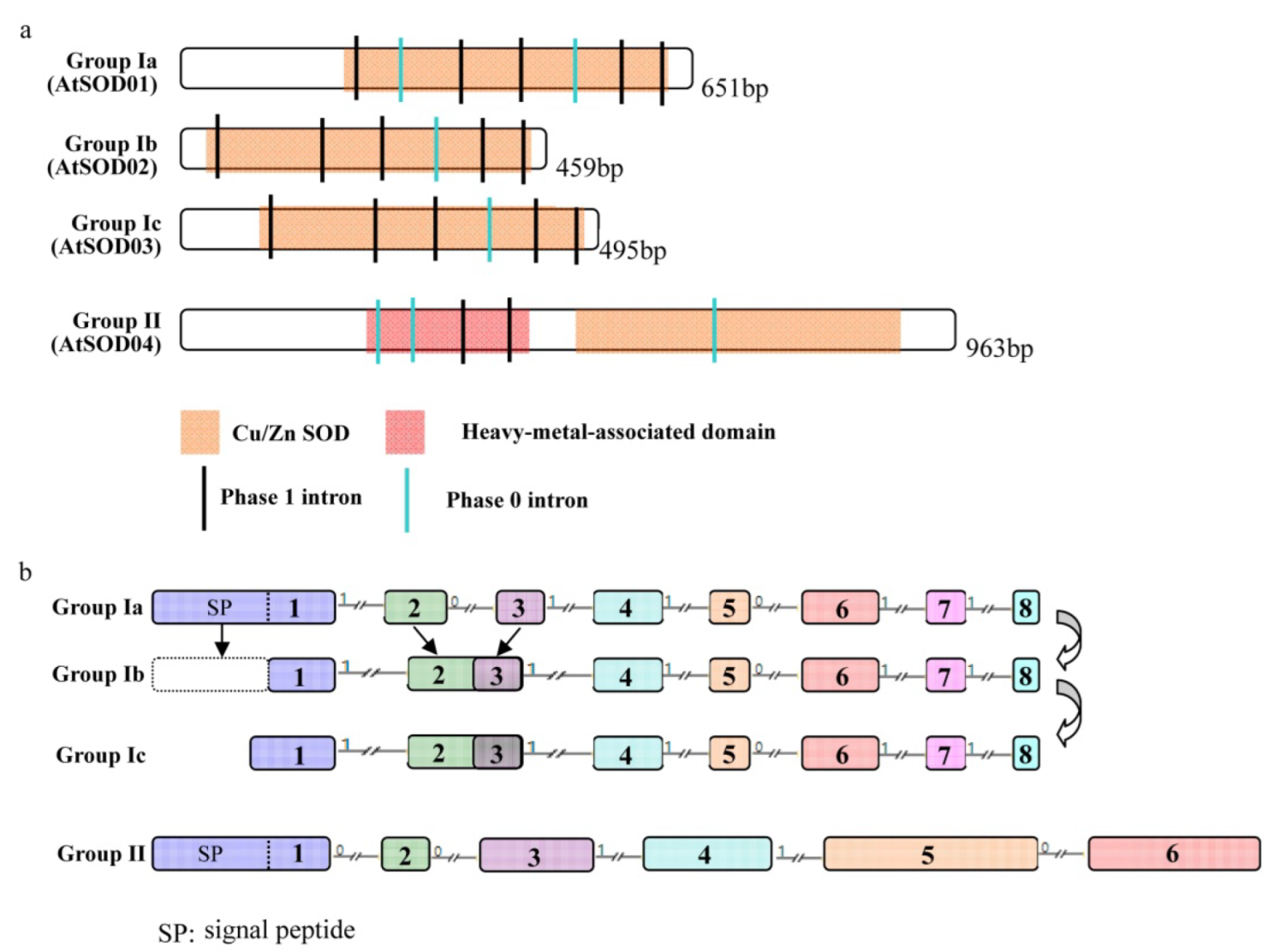 Ijms 23 07082 g004 550