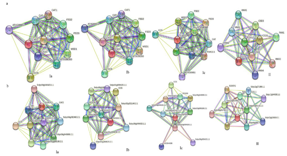 Ijms 23 07082 g005 550