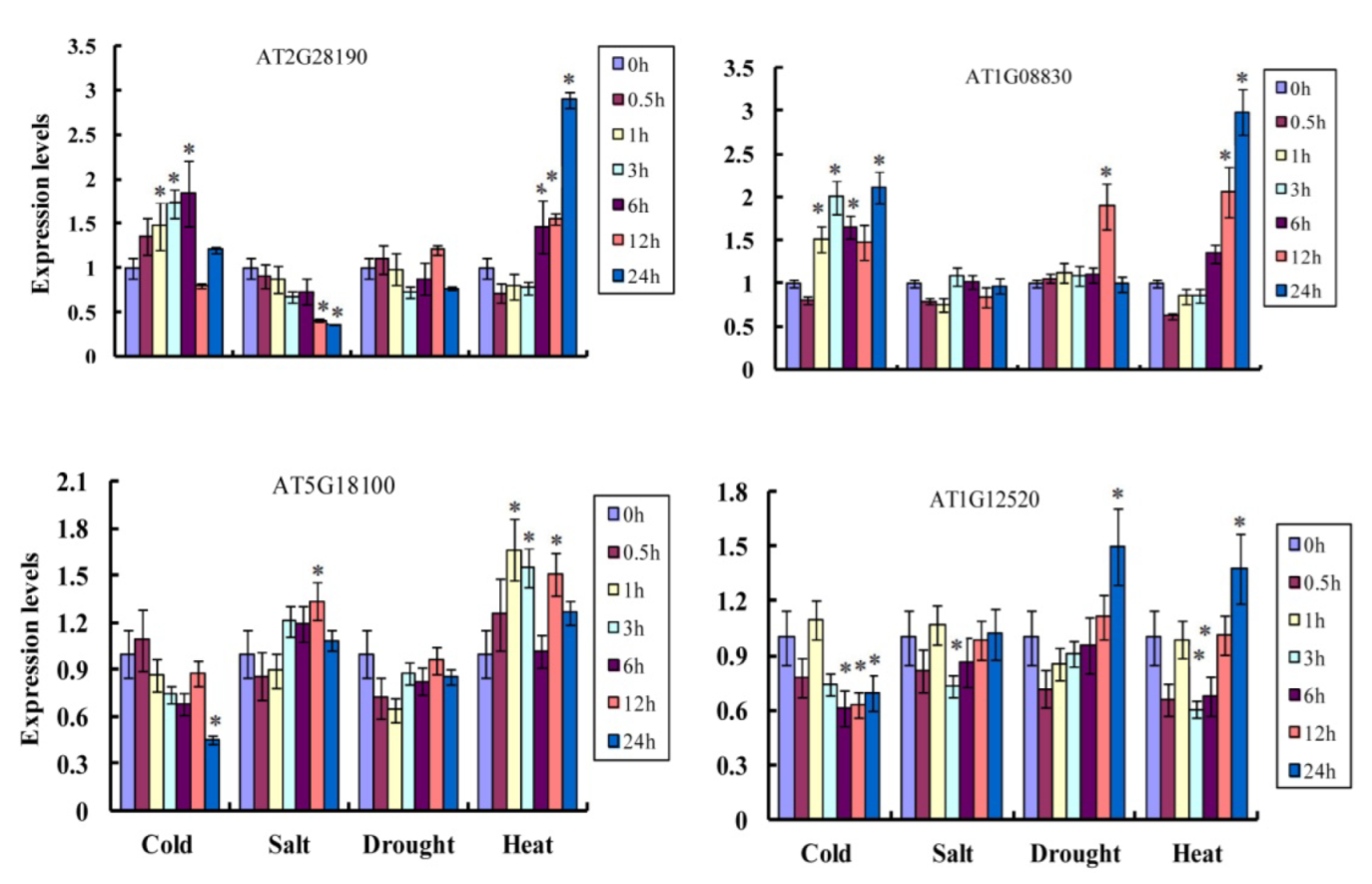 Ijms 23 07082 g007 550