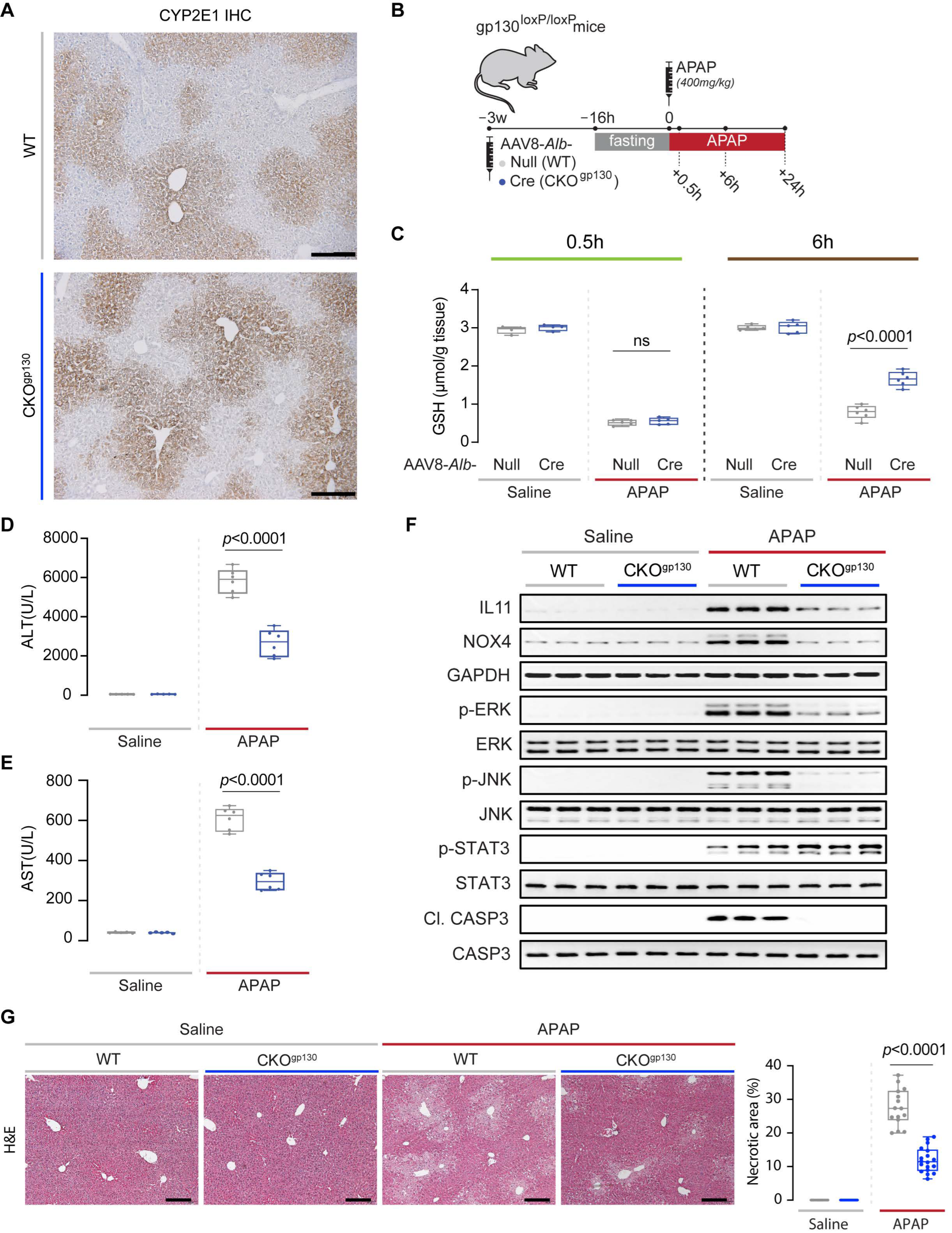 Ijms 23 07089 g002 550