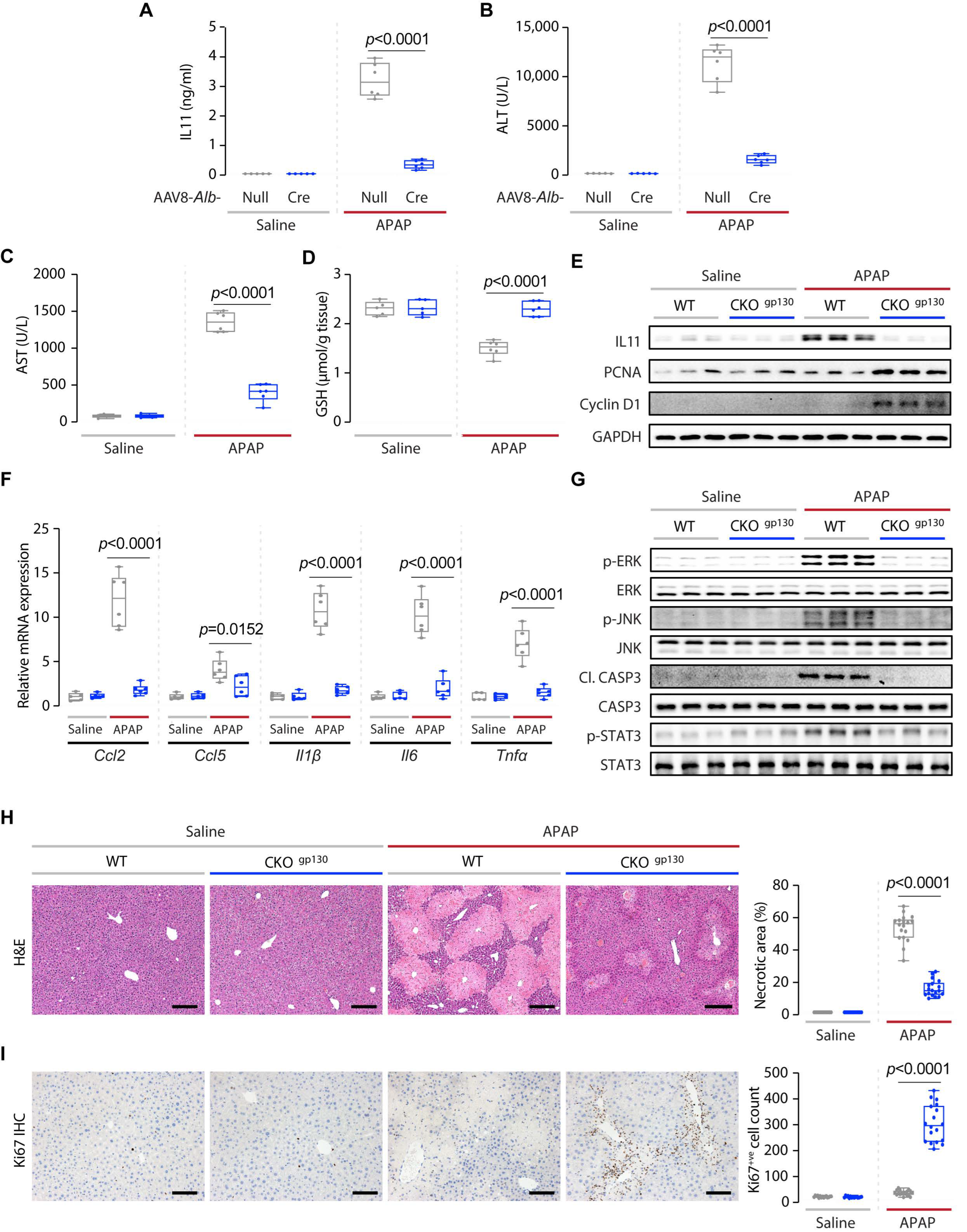 Ijms 23 07089 g003 550