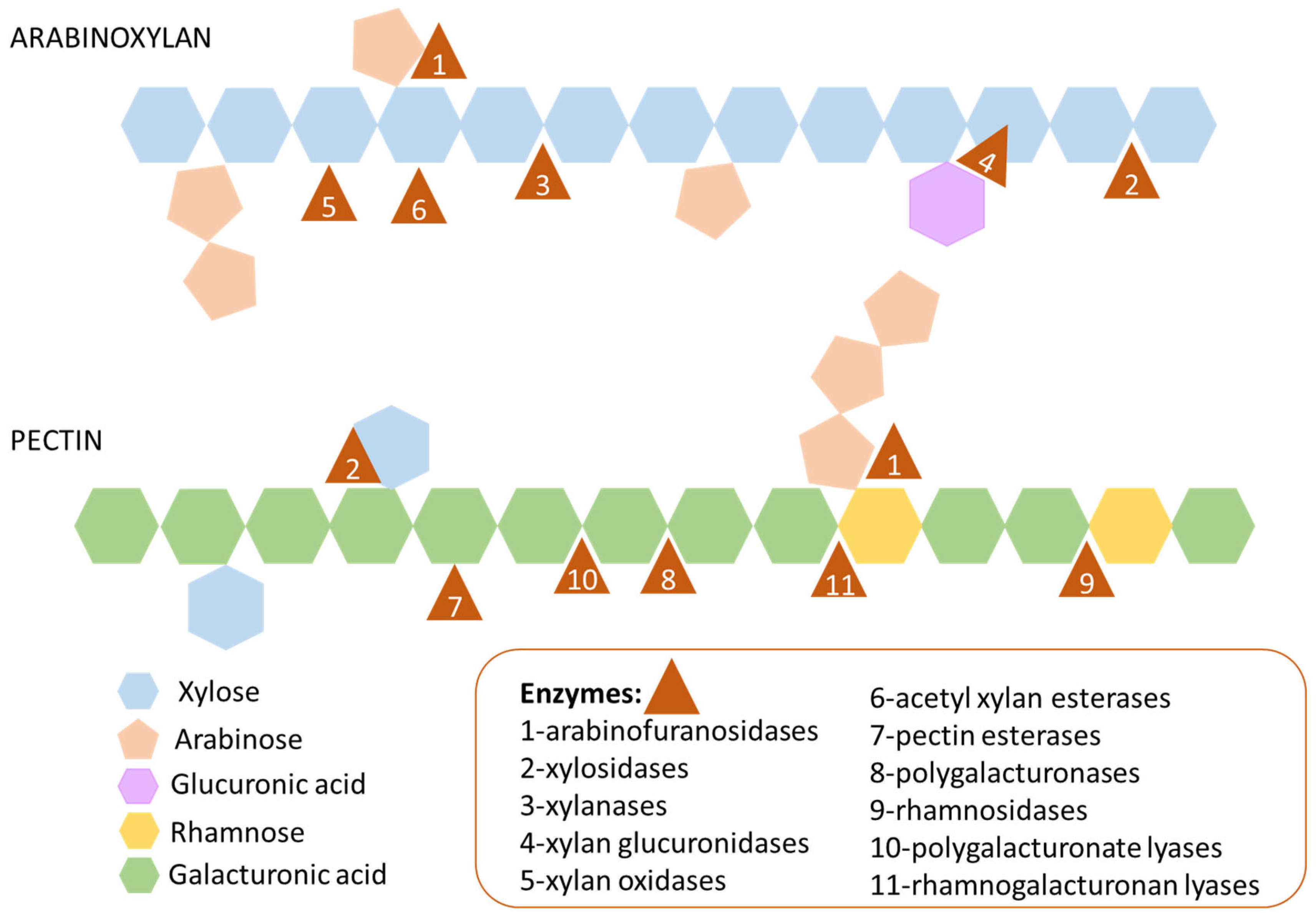 Ijms 23 07093 g002 550