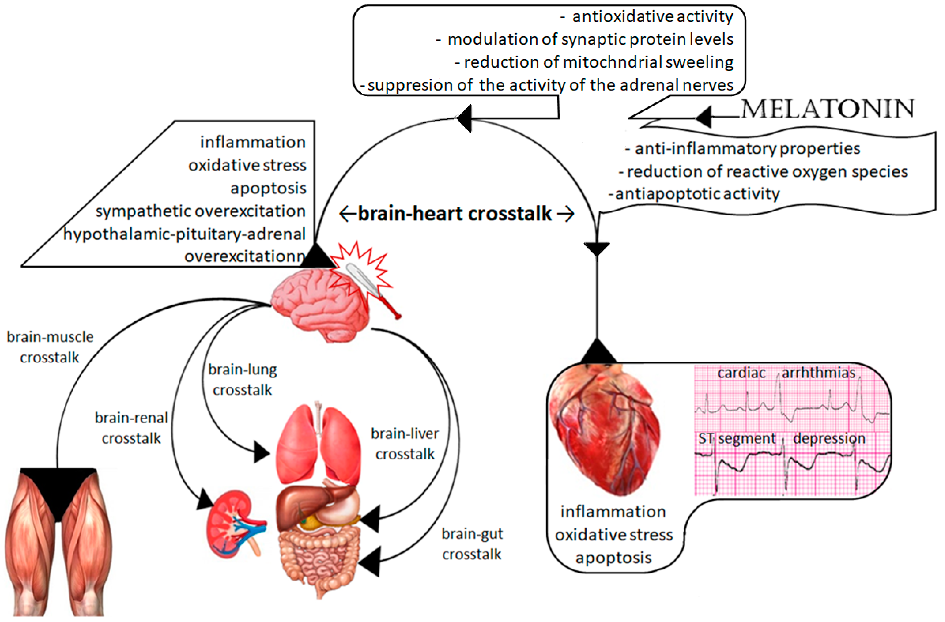 Ijms 23 07094 g001 550
