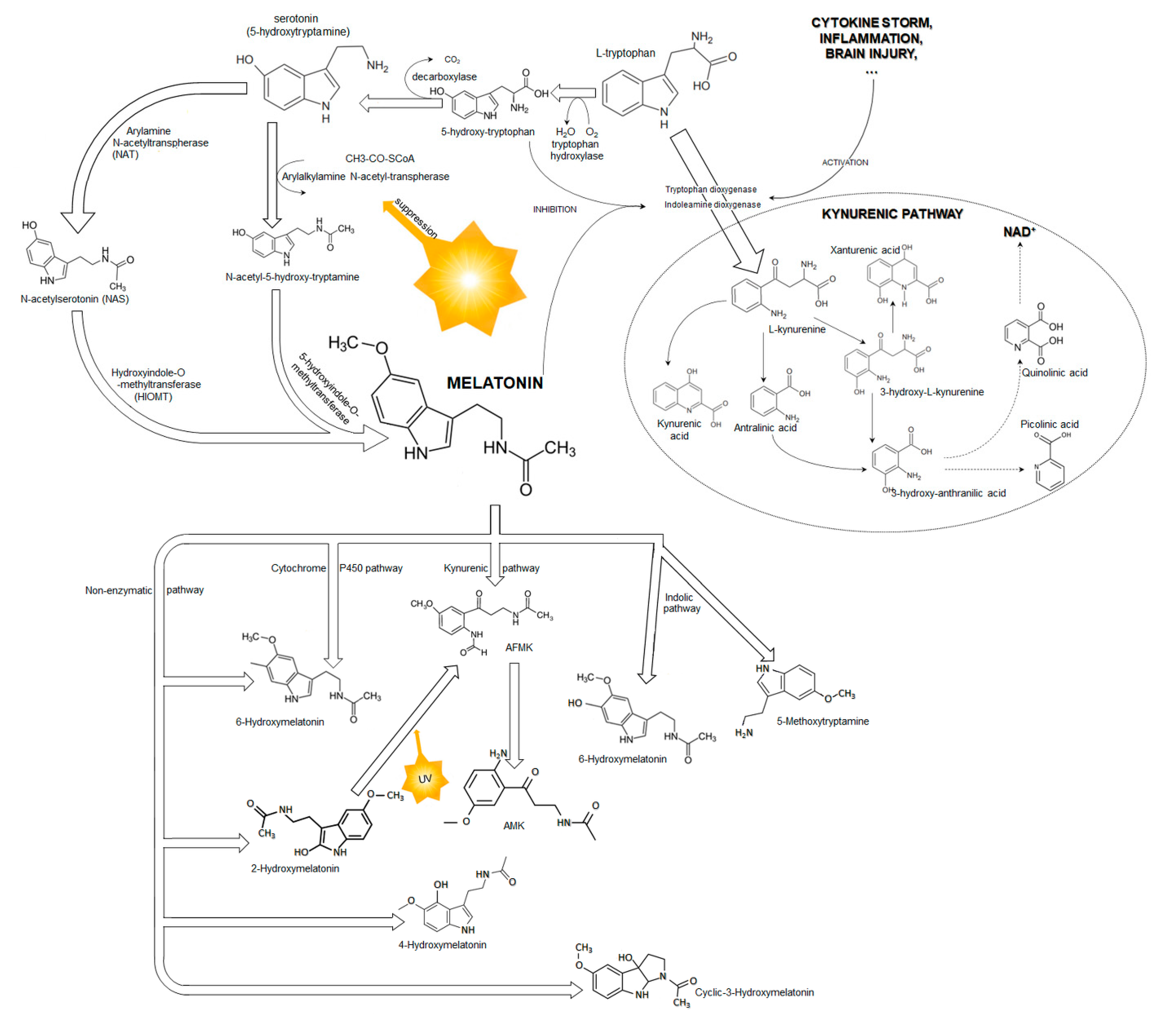 Ijms 23 07094 g002 550
