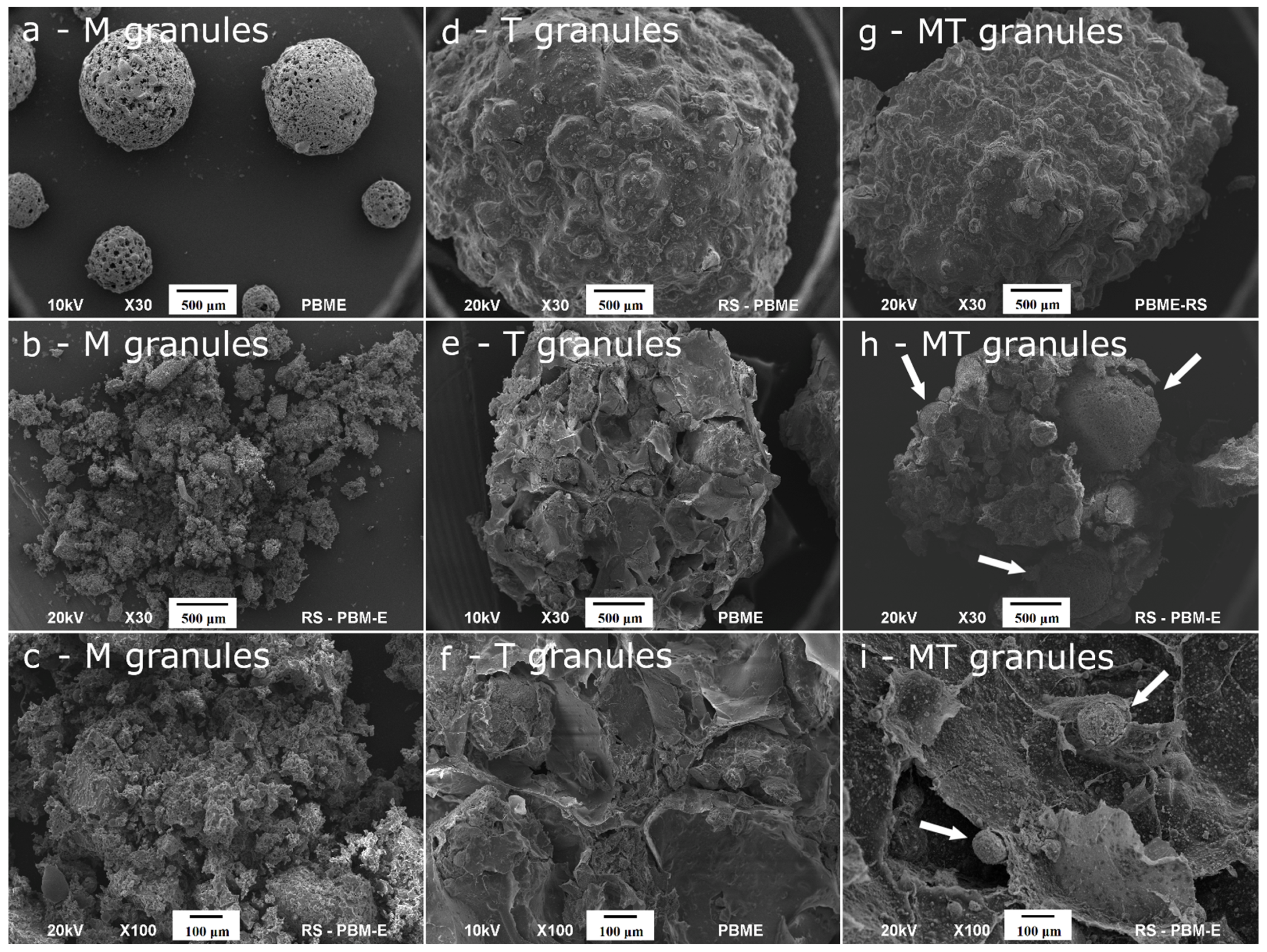 Ijms 23 07102 g002 550