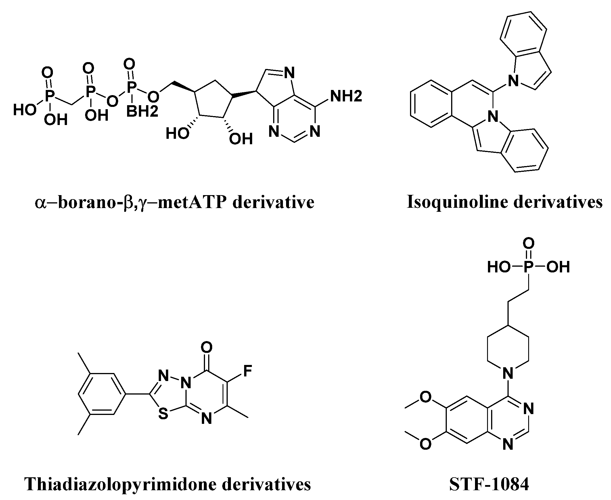 Ijms 23 07104 g002 550