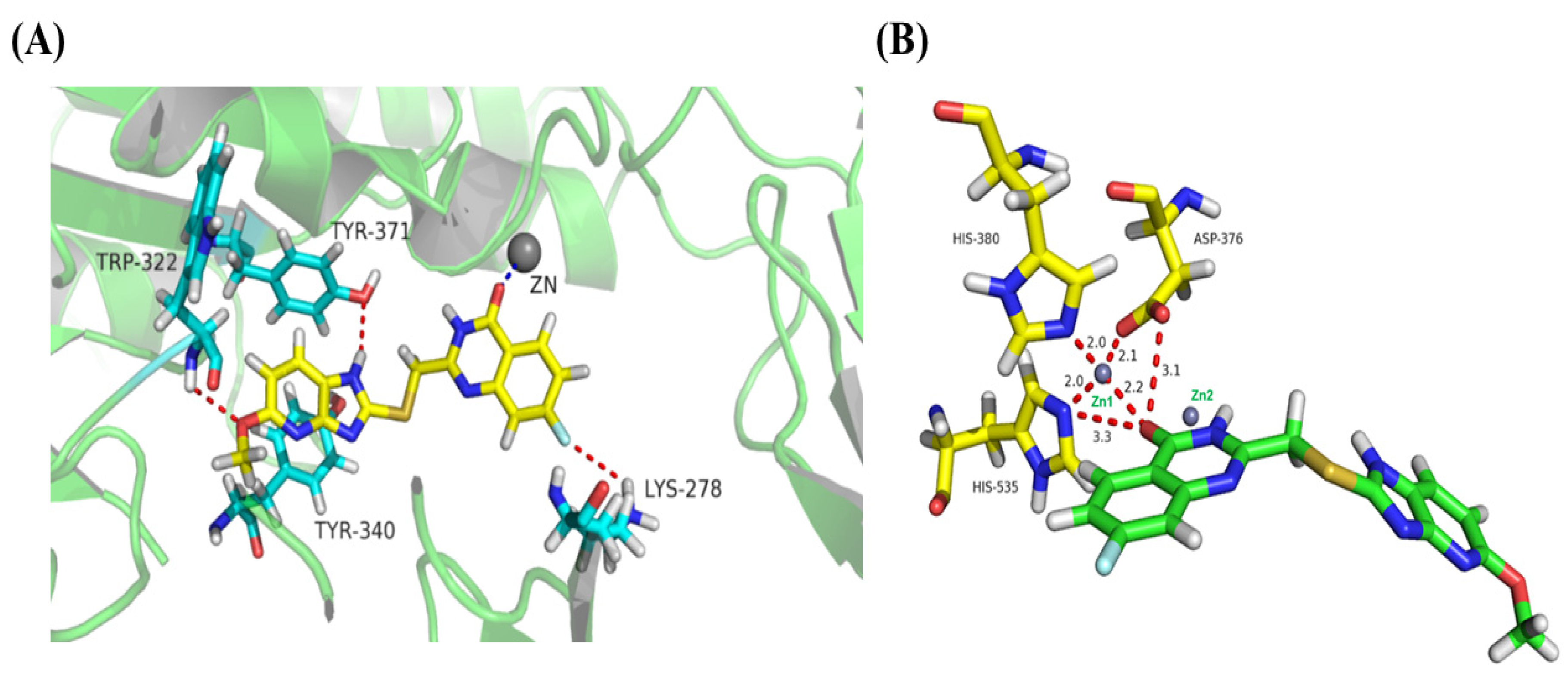 Ijms 23 07104 g006 550