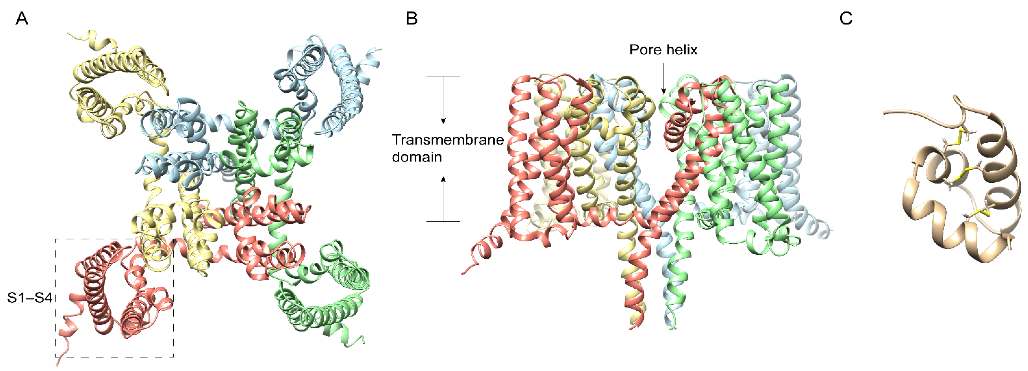Ijms 23 07105 g001 550