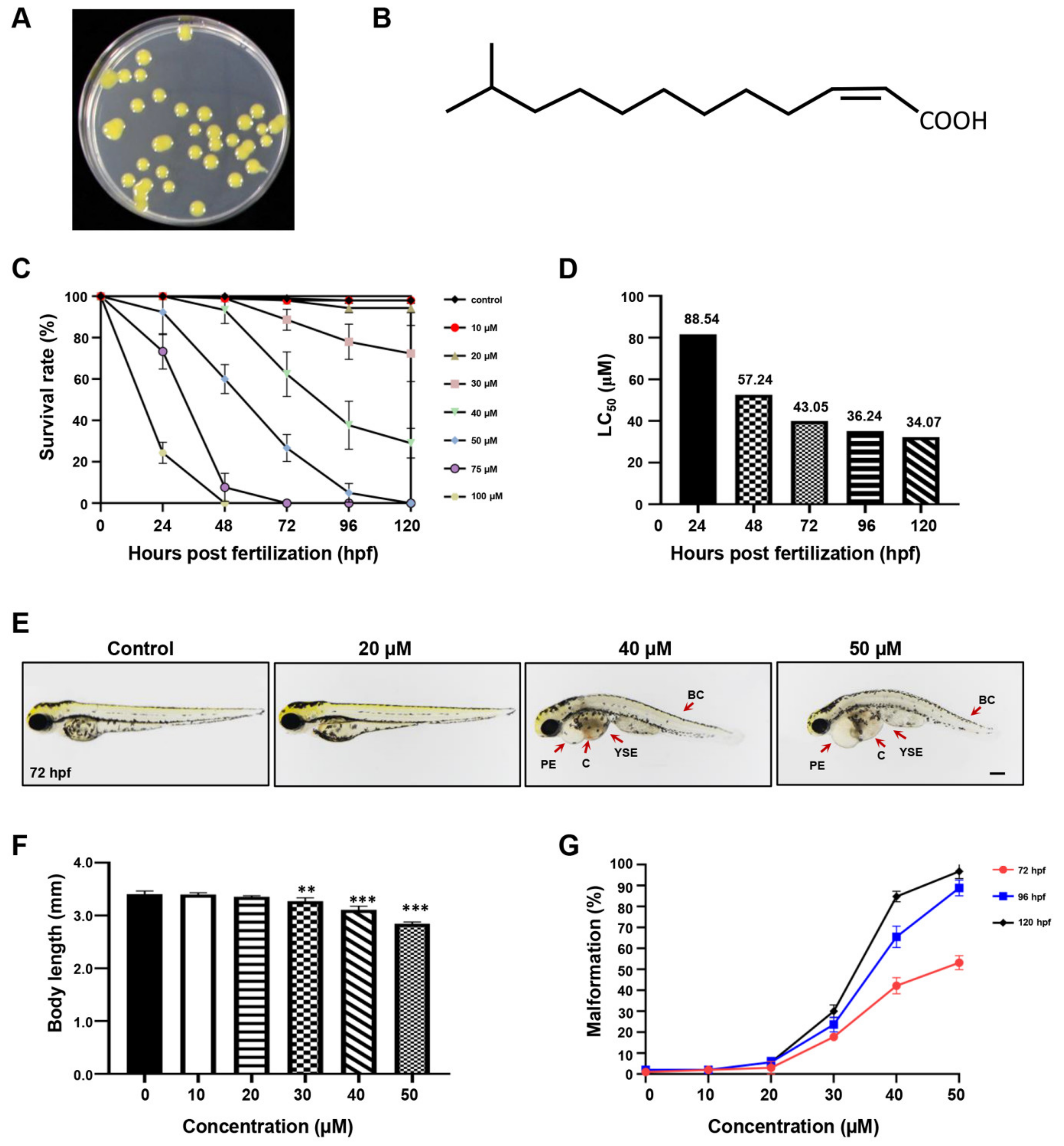 Ijms 23 07110 g001 550