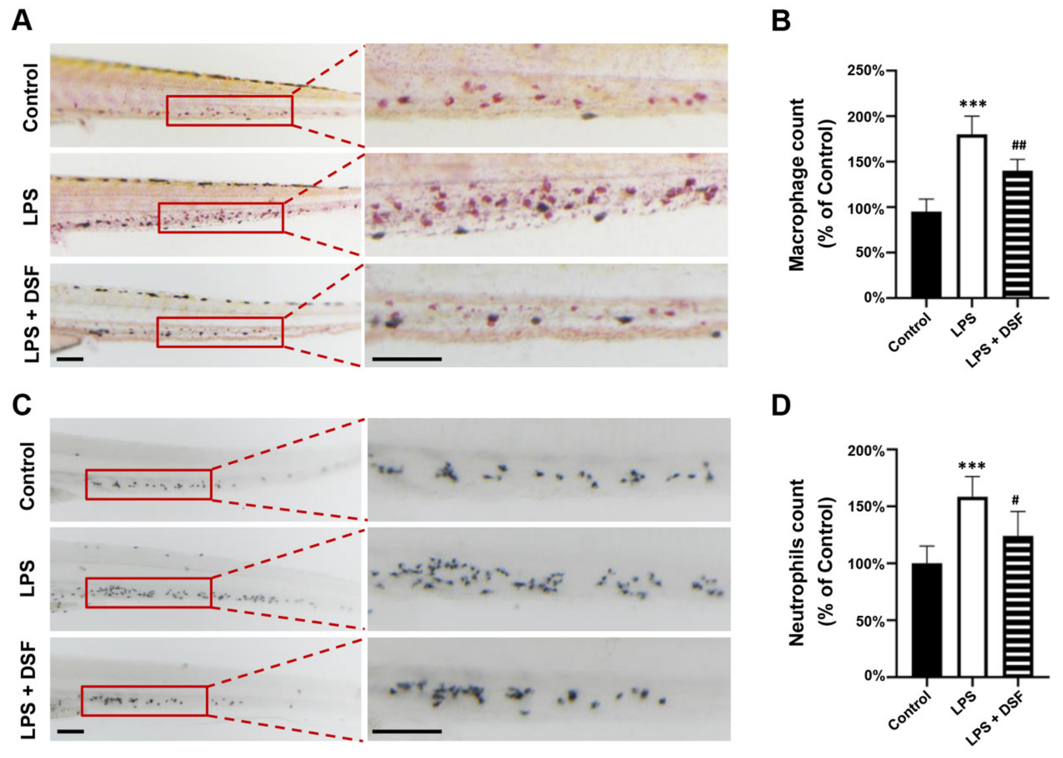 Ijms 23 07110 g003 550