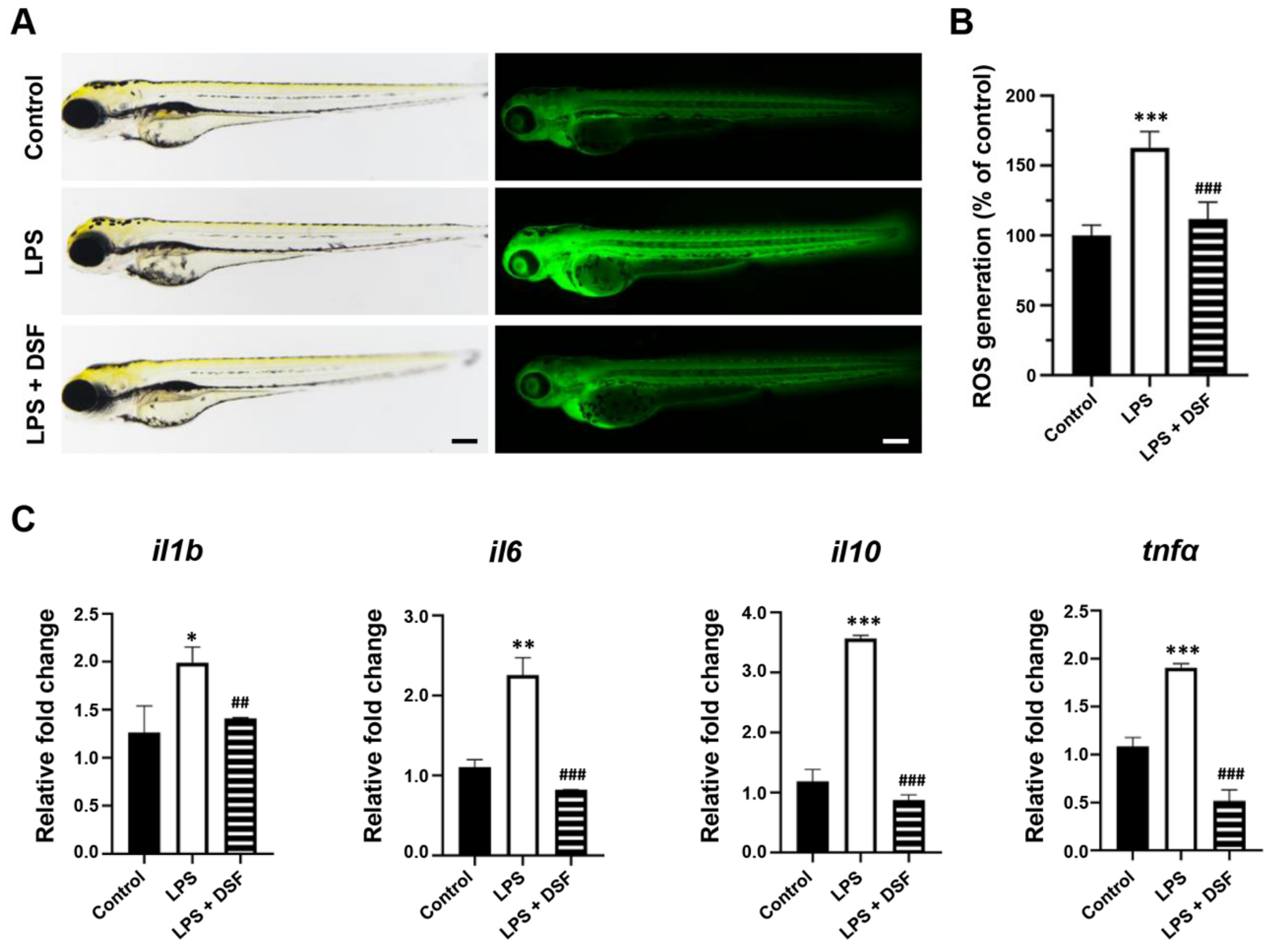 Ijms 23 07110 g004 550