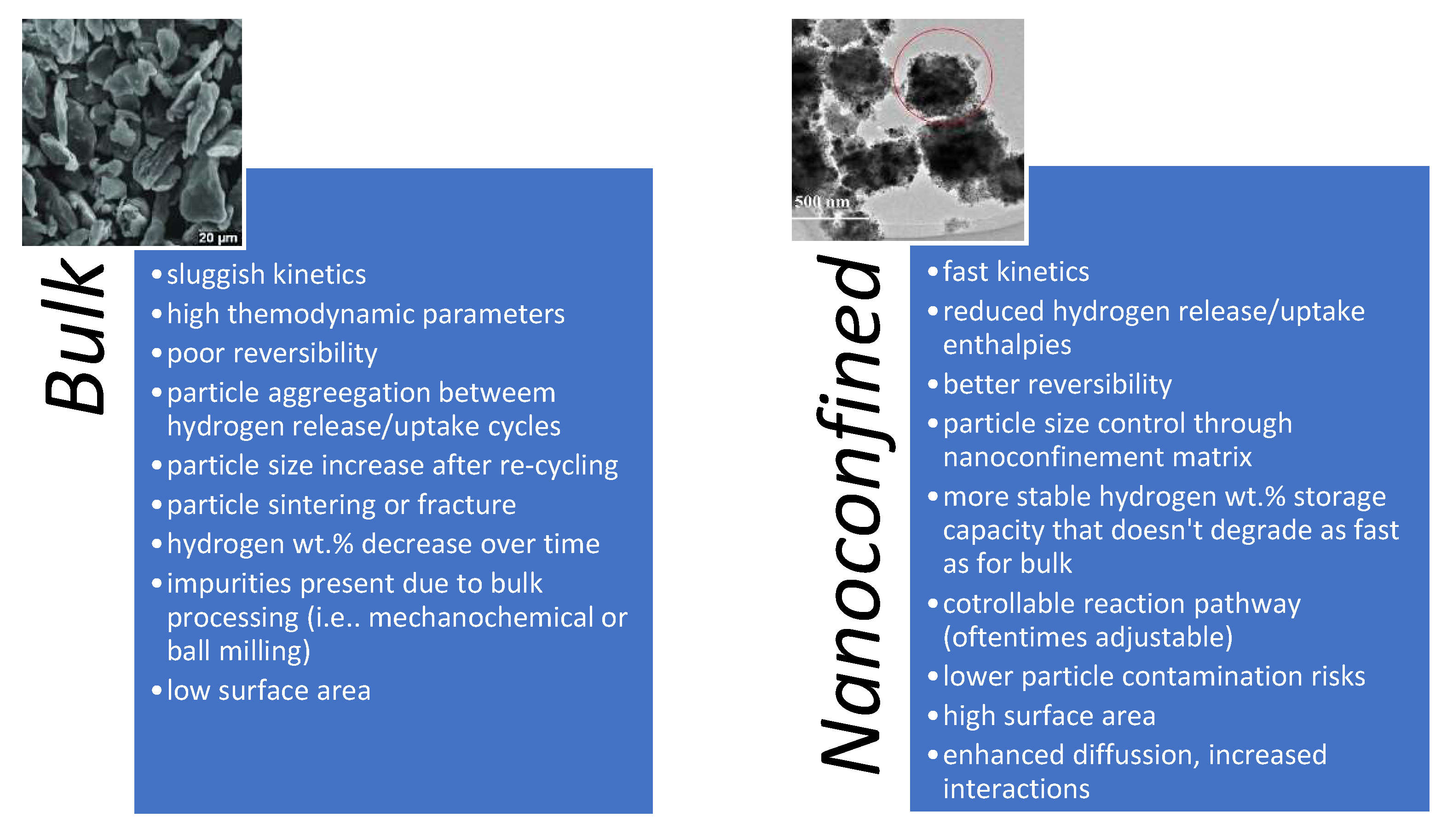 Ijms 23 07111 g002 Ijms 23 07111 g002