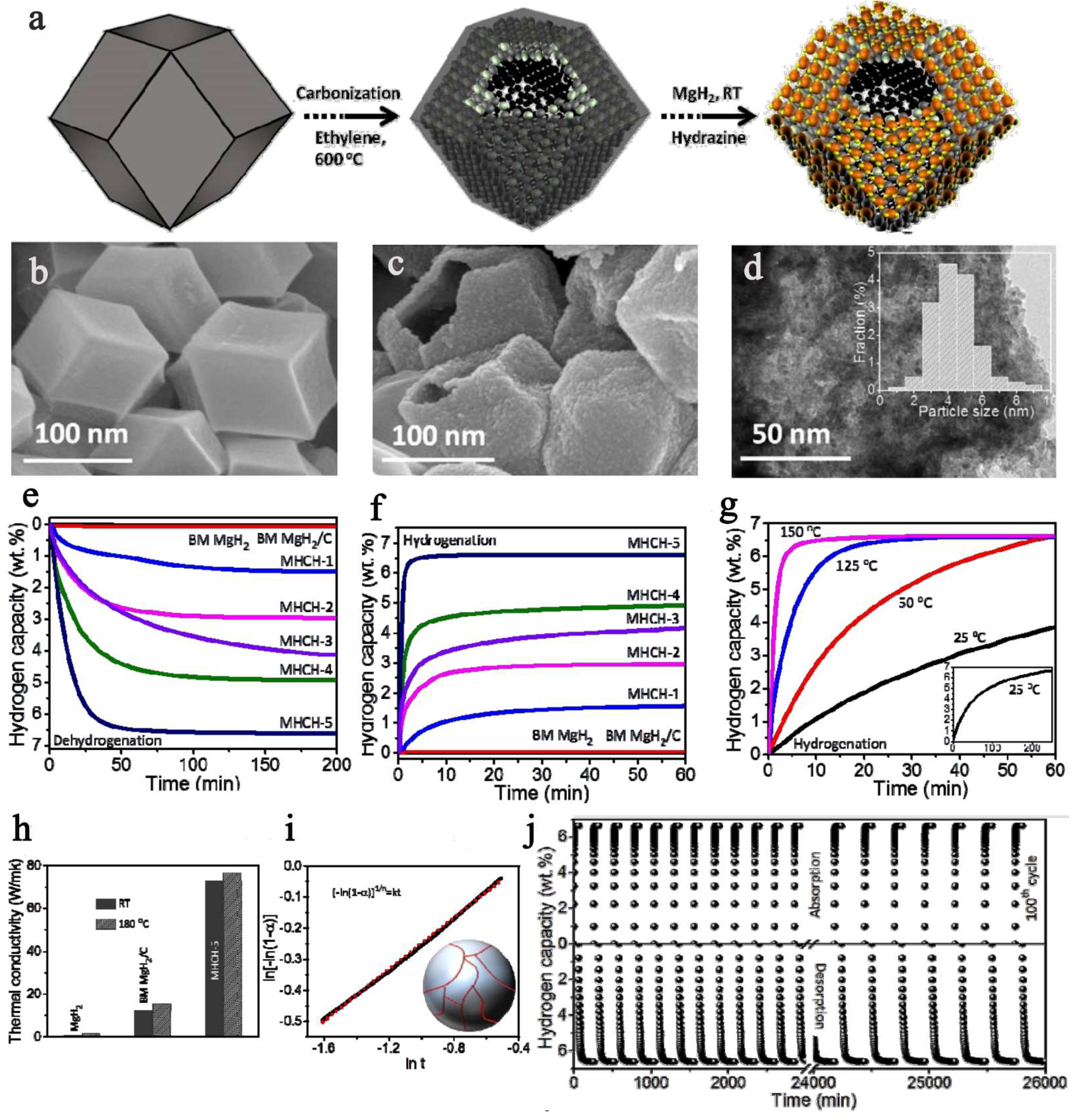 Ijms 23 07111 g011 Ijms 23 07111 g011