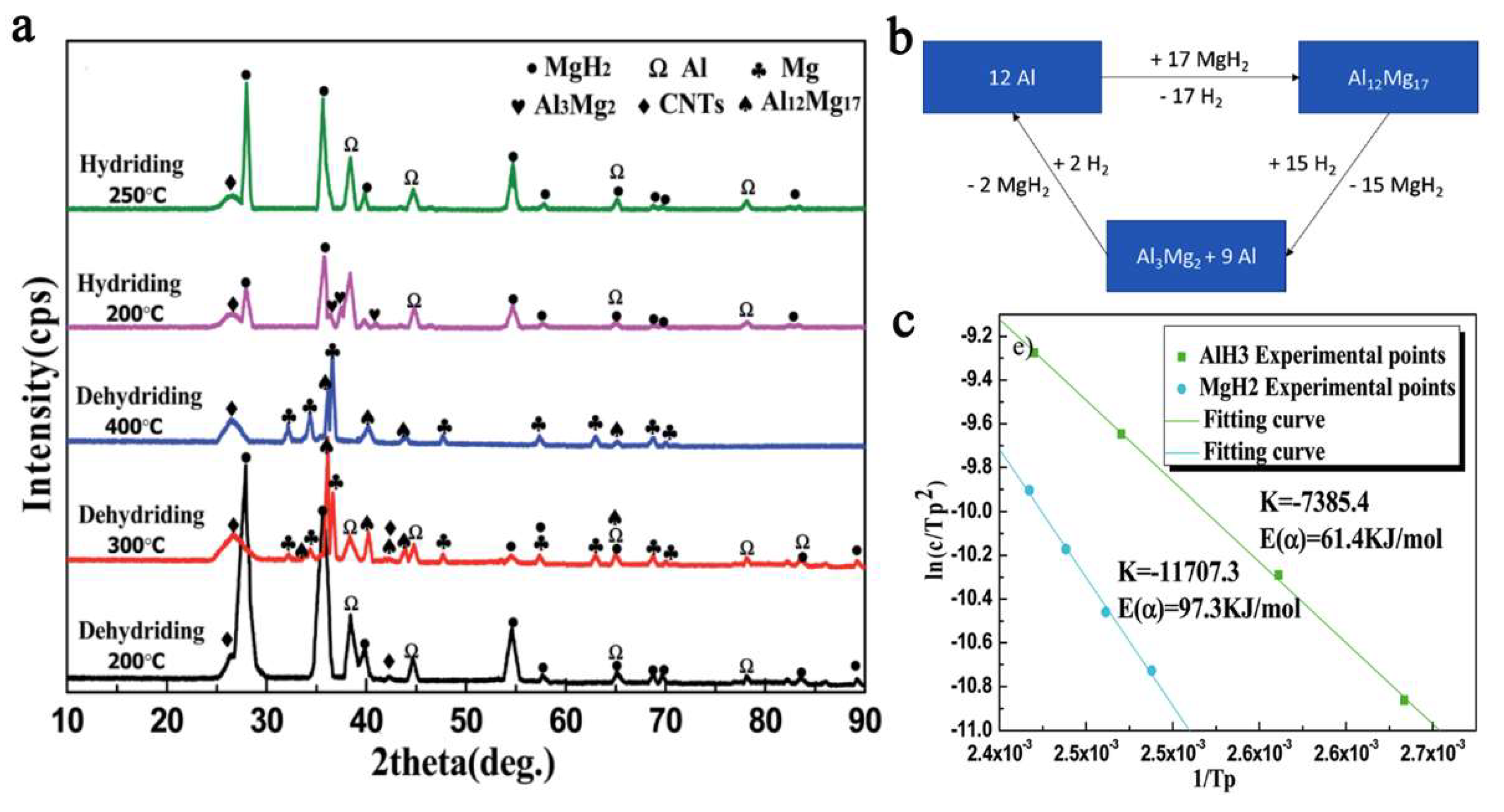 Ijms 23 07111 g016 Ijms 23 07111 g016
