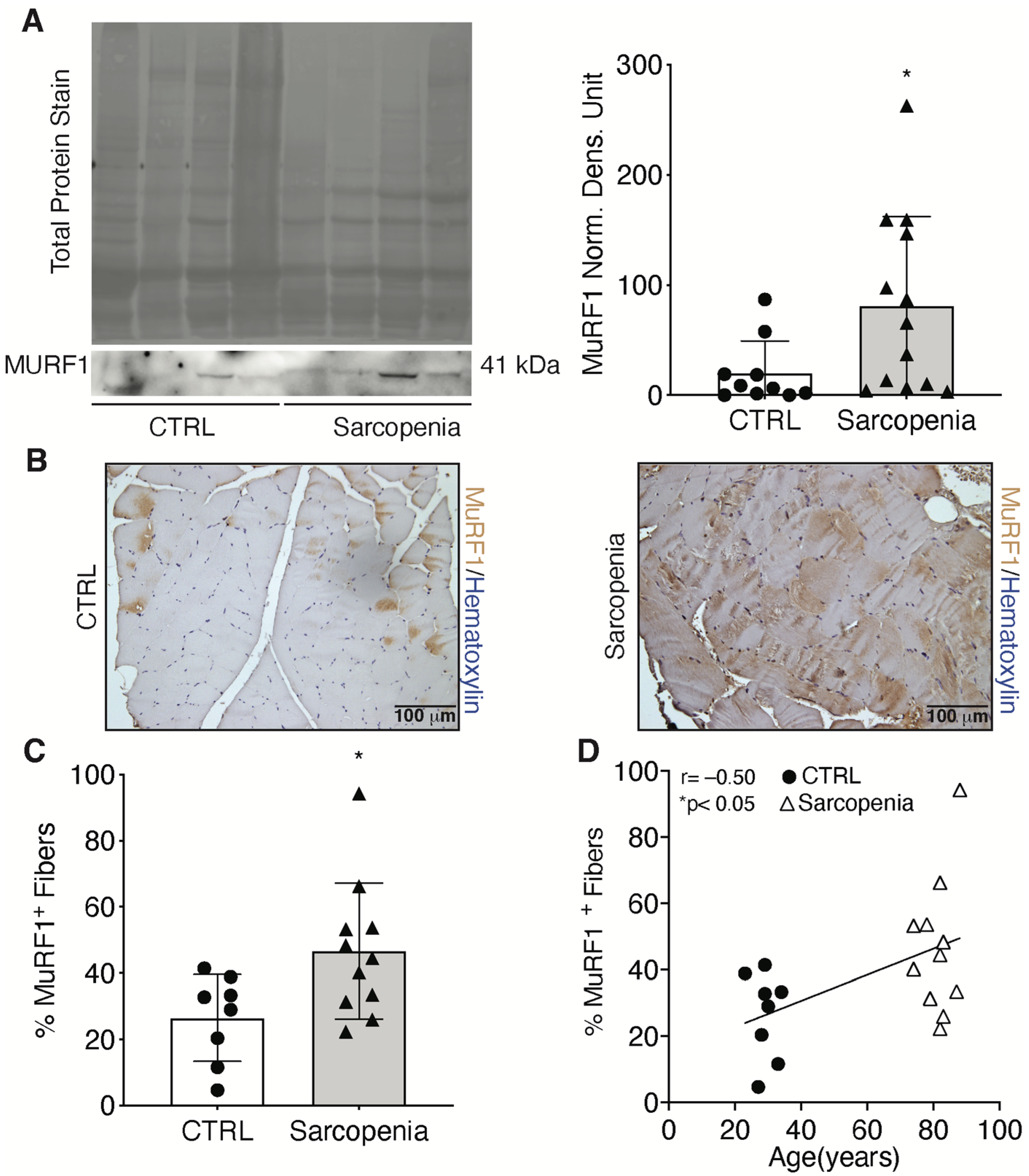Ijms 23 07114 g004 550