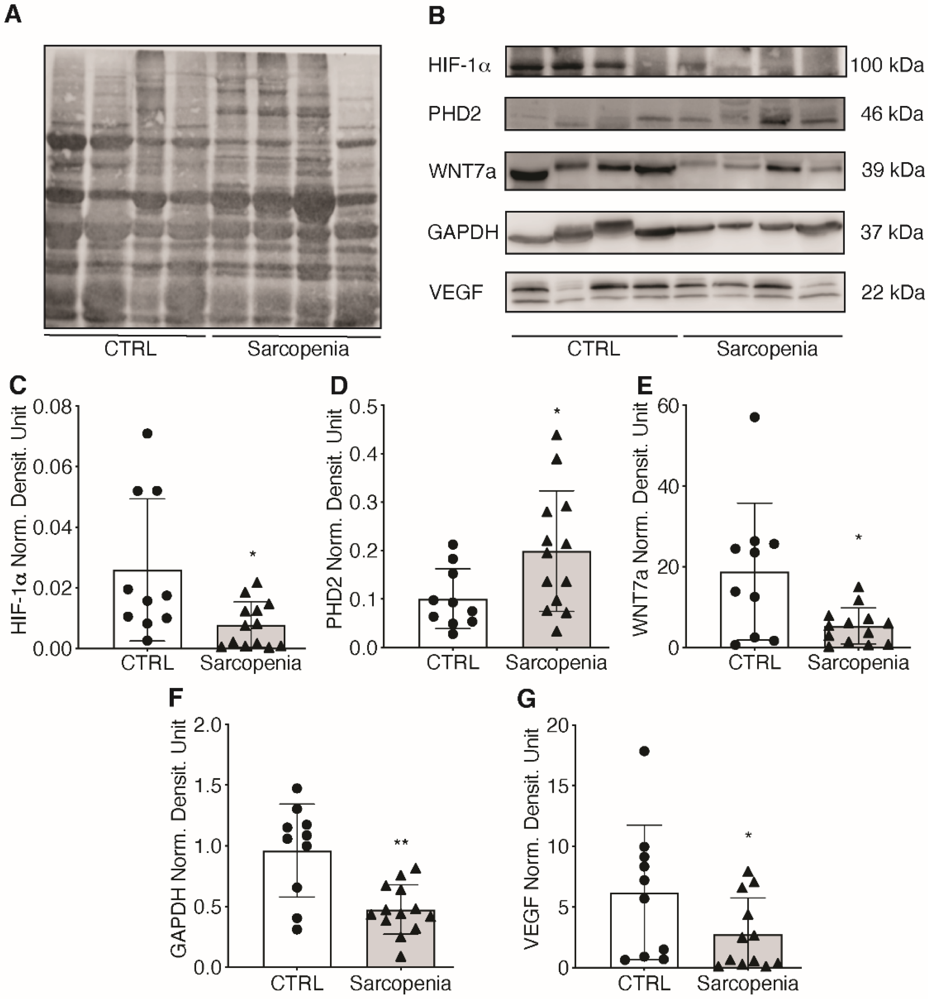 Ijms 23 07114 g006 550