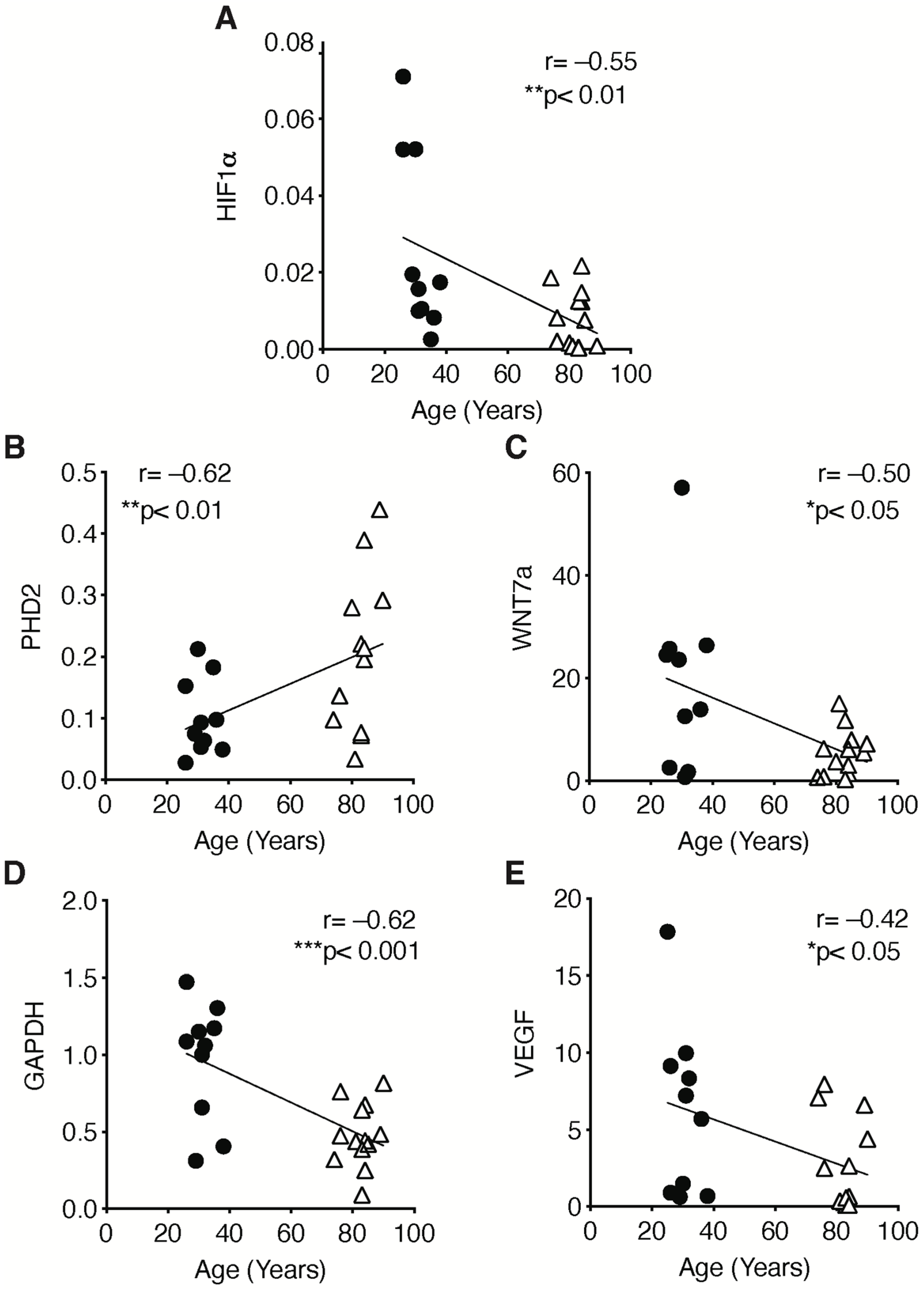 Ijms 23 07114 g007 550