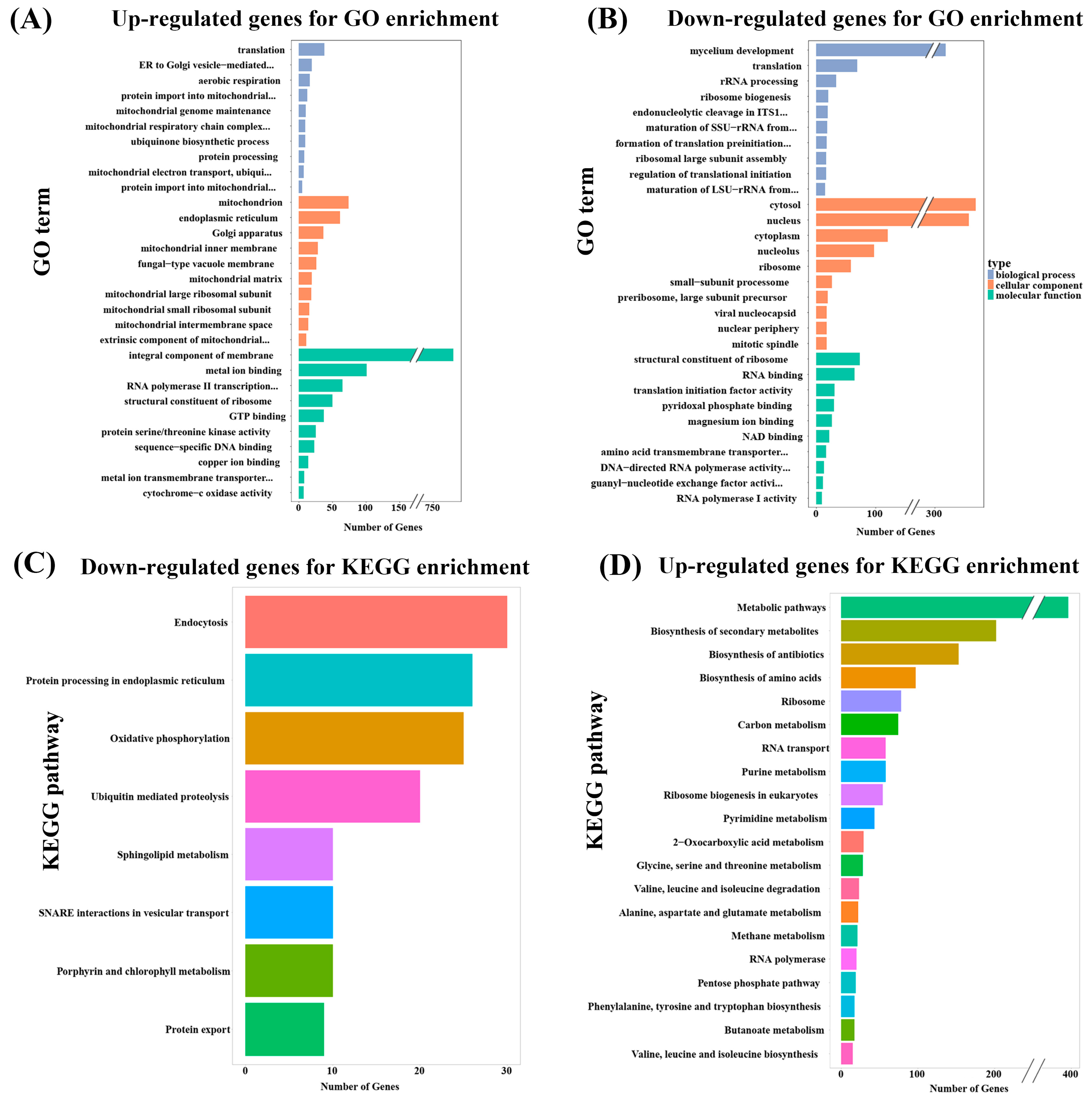 Ijms 23 07116 g002 Ijms 23 07116 g002