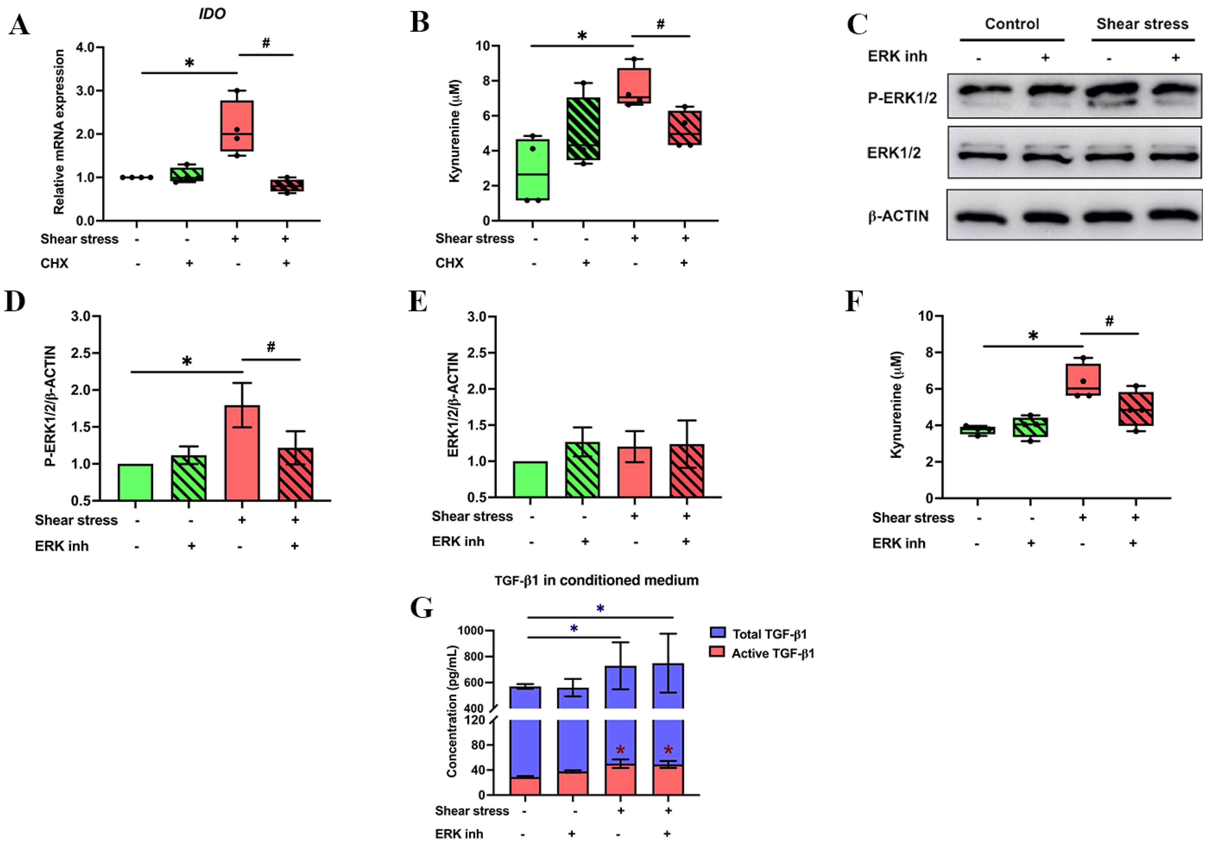 Ijms 23 07119 g003 550