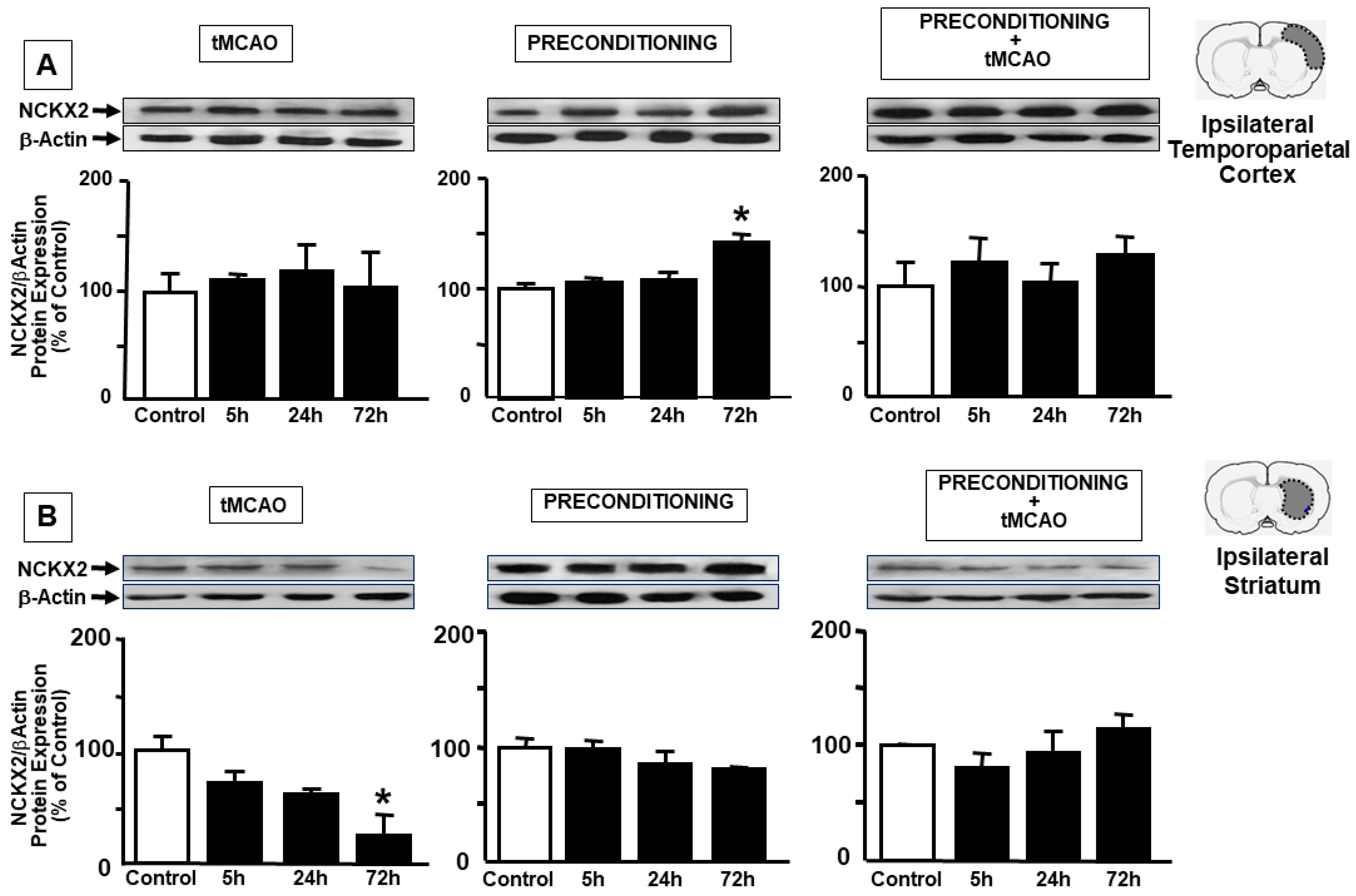 Ijms 23 07128 g001 550
