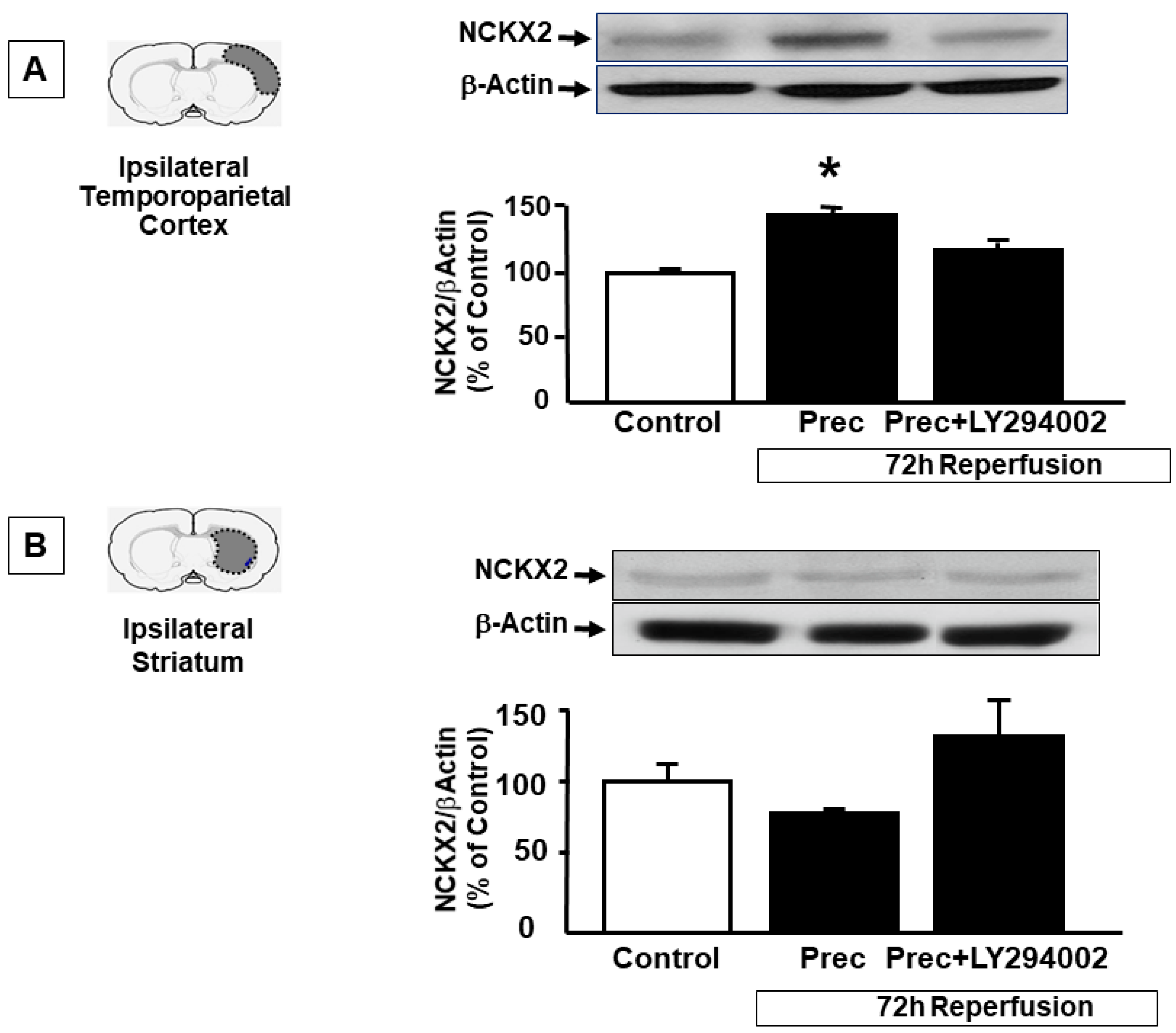 Ijms 23 07128 g004 550