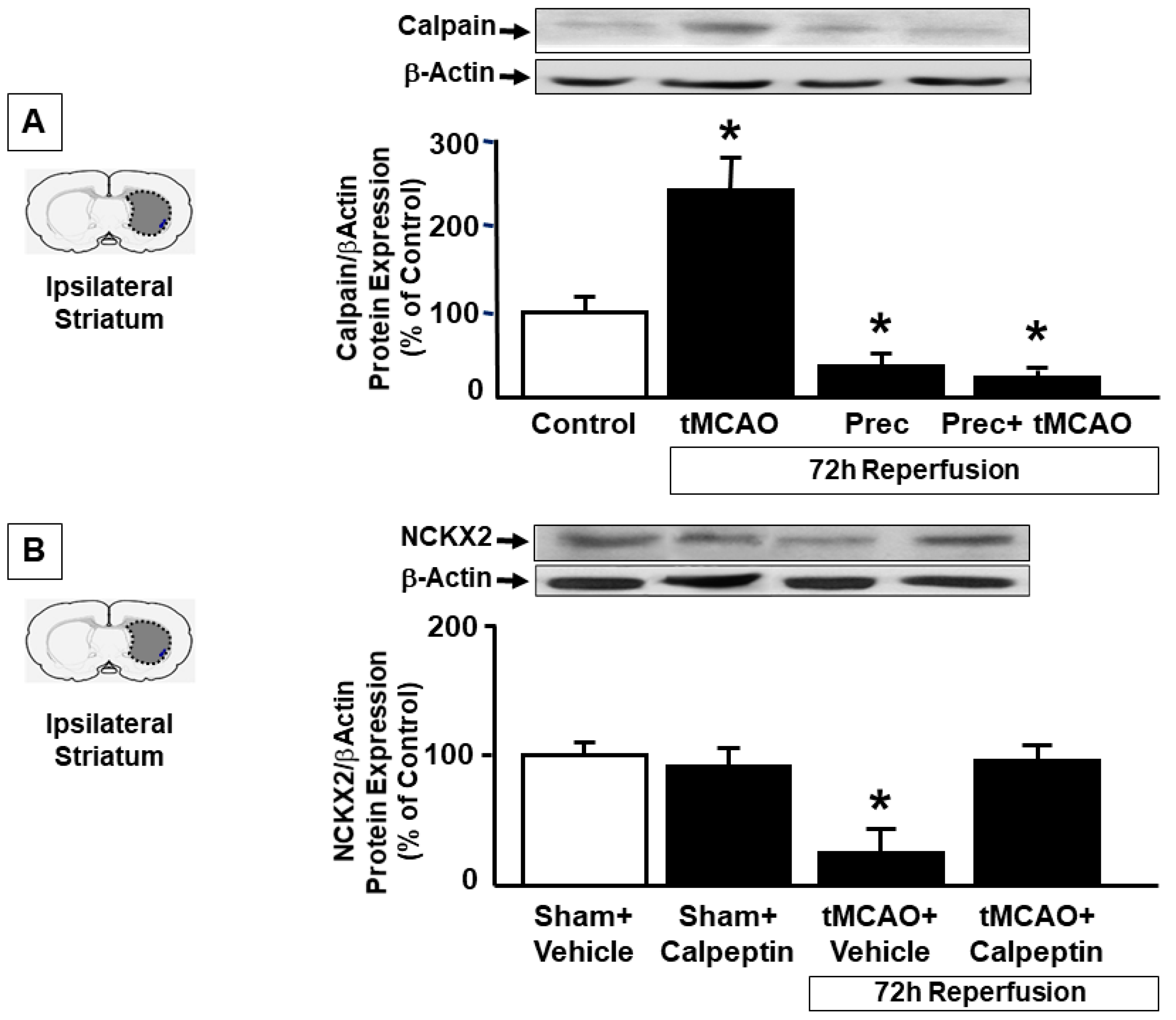 Ijms 23 07128 g005 550