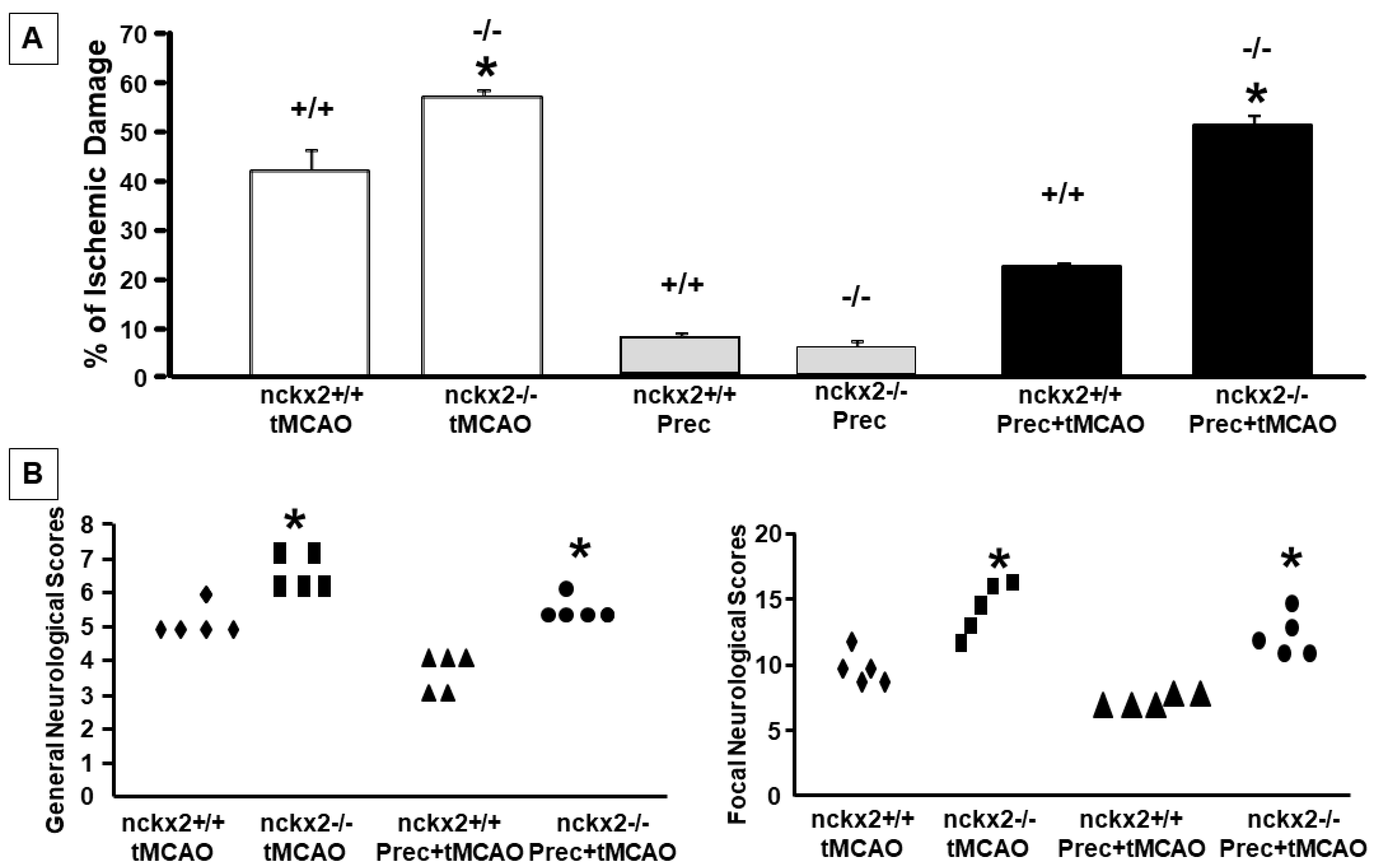 Ijms 23 07128 g006 550