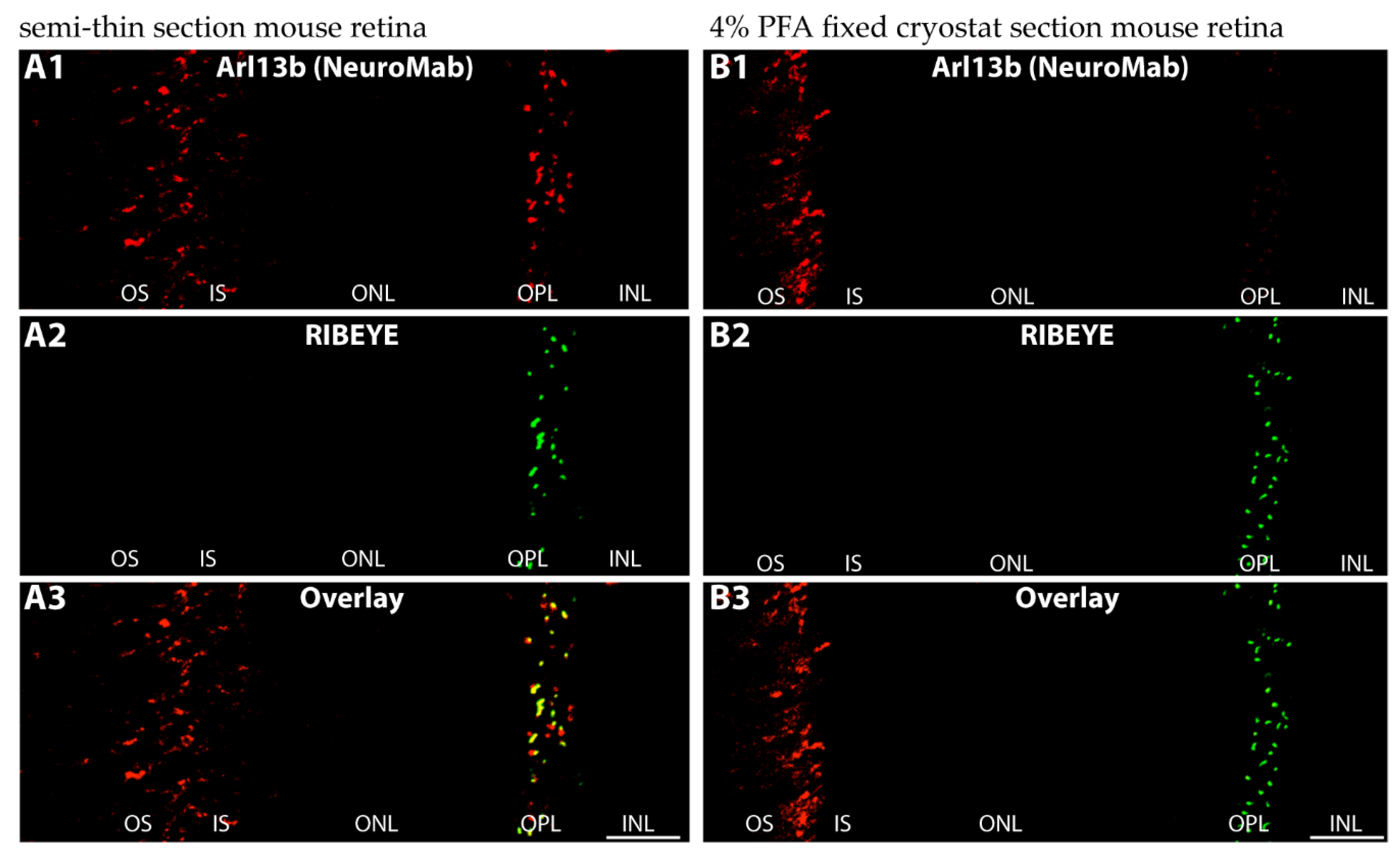 Ijms 23 07135 g005 Ijms 23 07135 g005