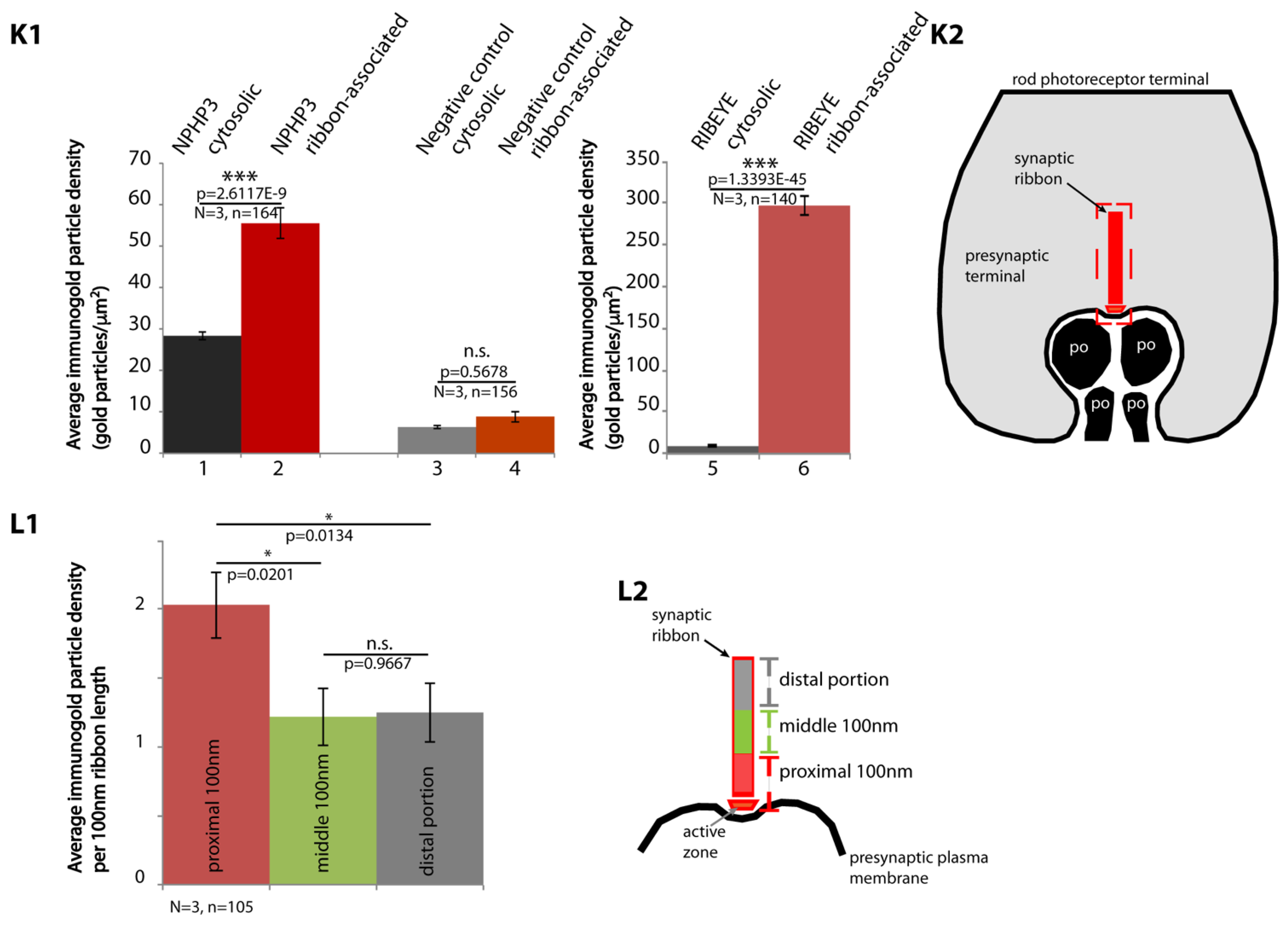 Ijms 23 07135 g008b Ijms 23 07135 g008b