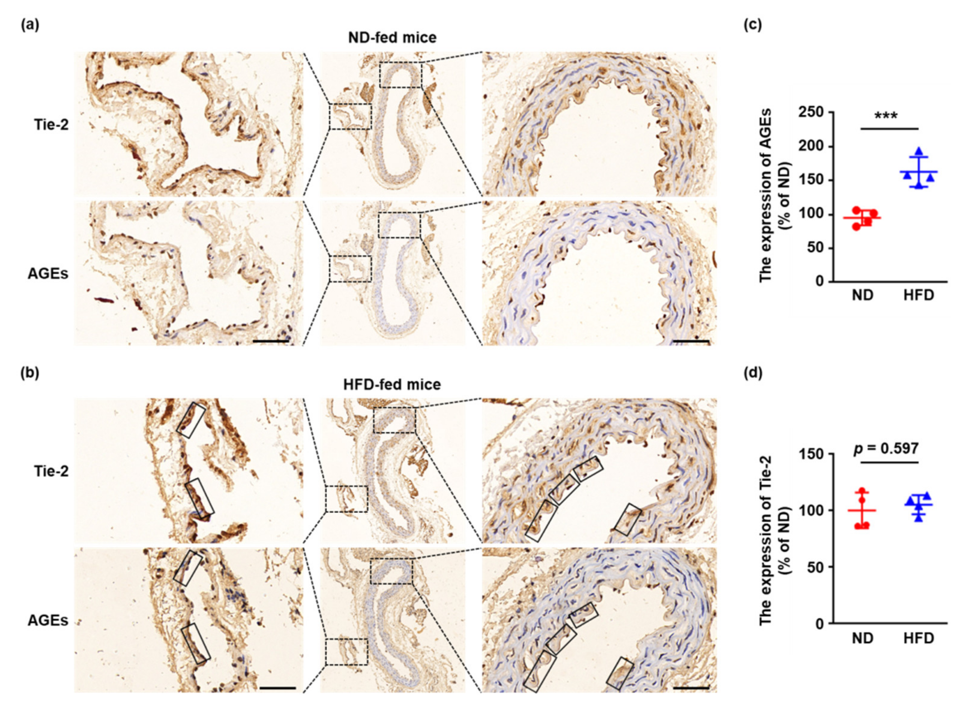 Ijms 23 07137 g001 550