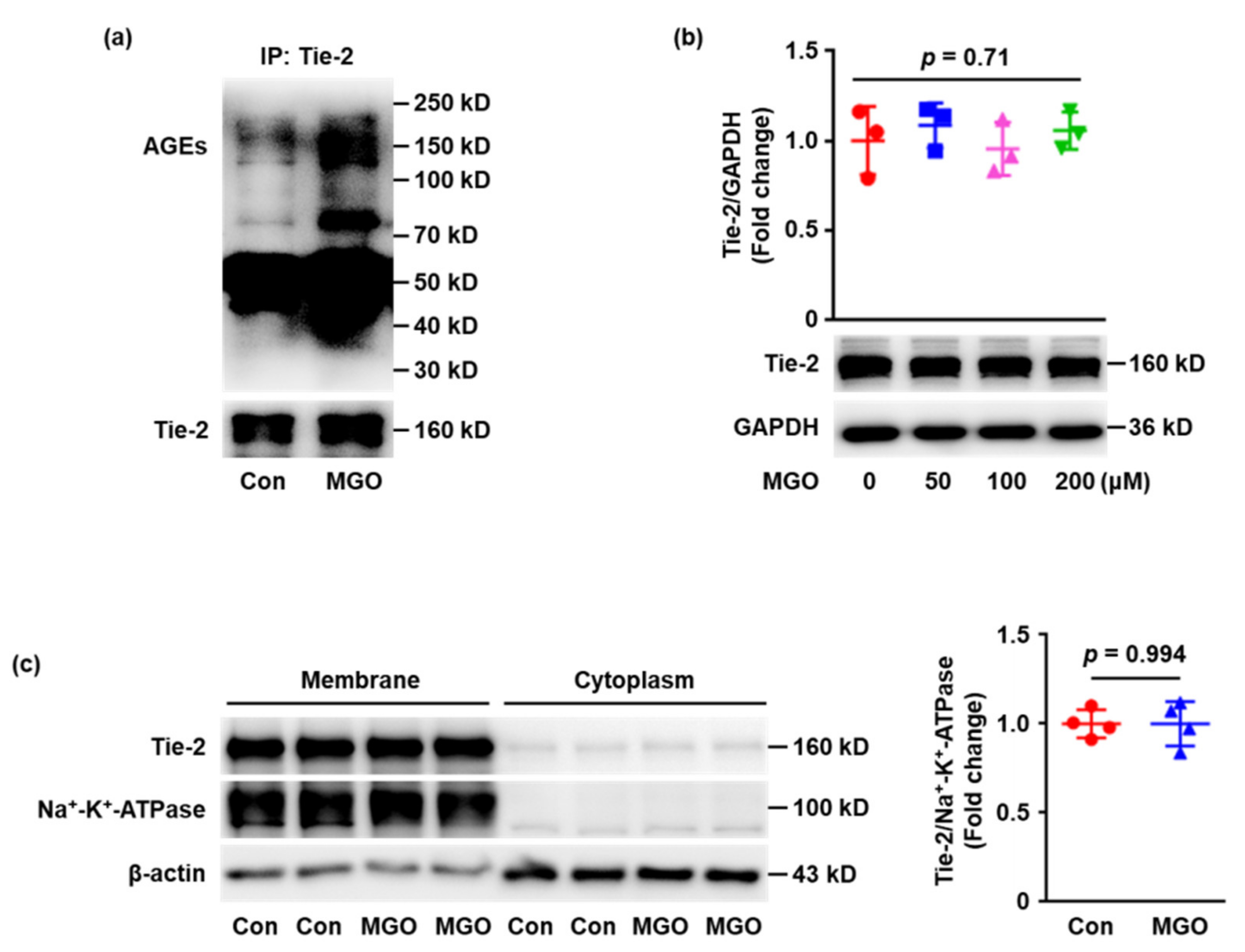 Ijms 23 07137 g002 550
