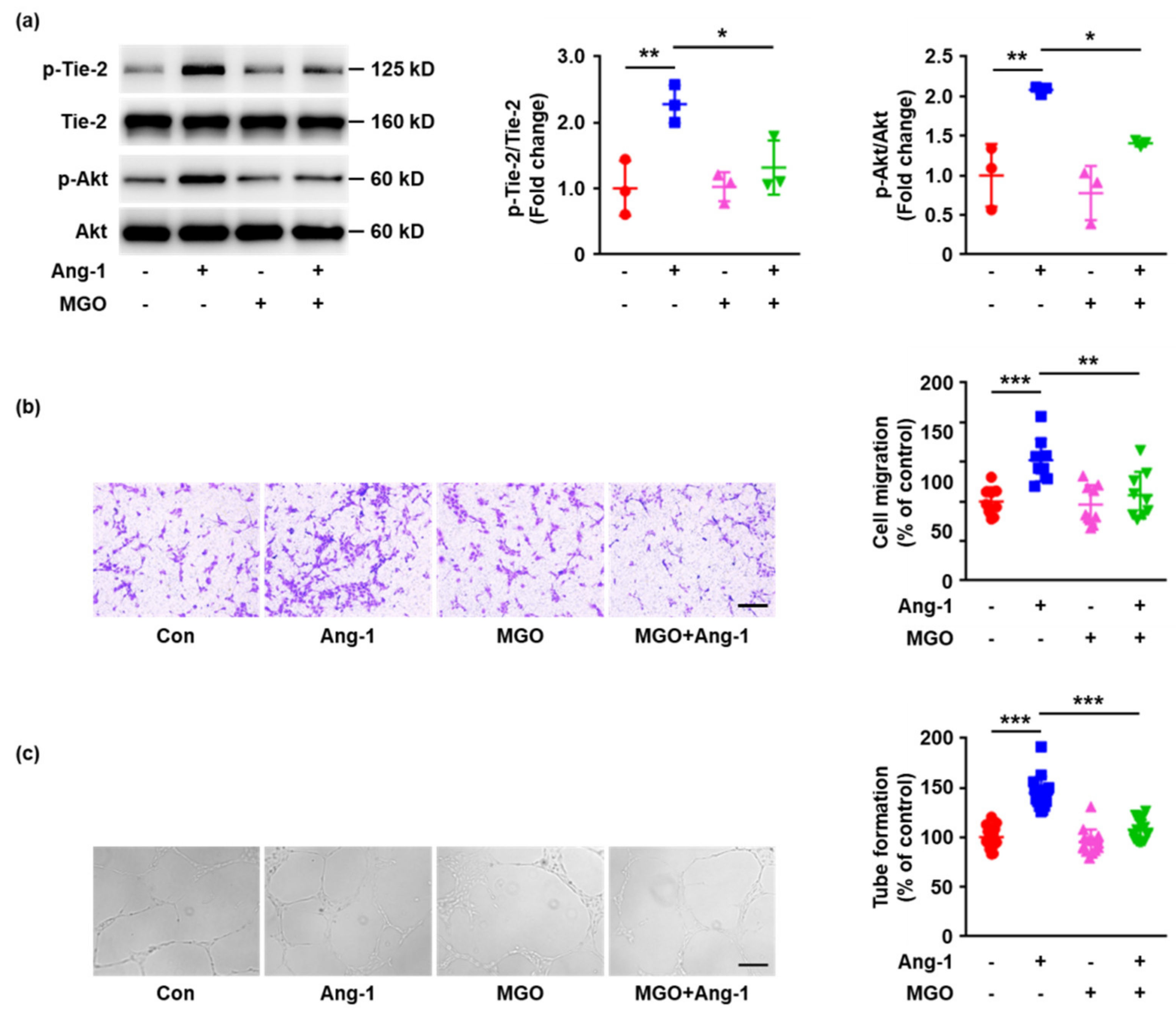 Ijms 23 07137 g003 550