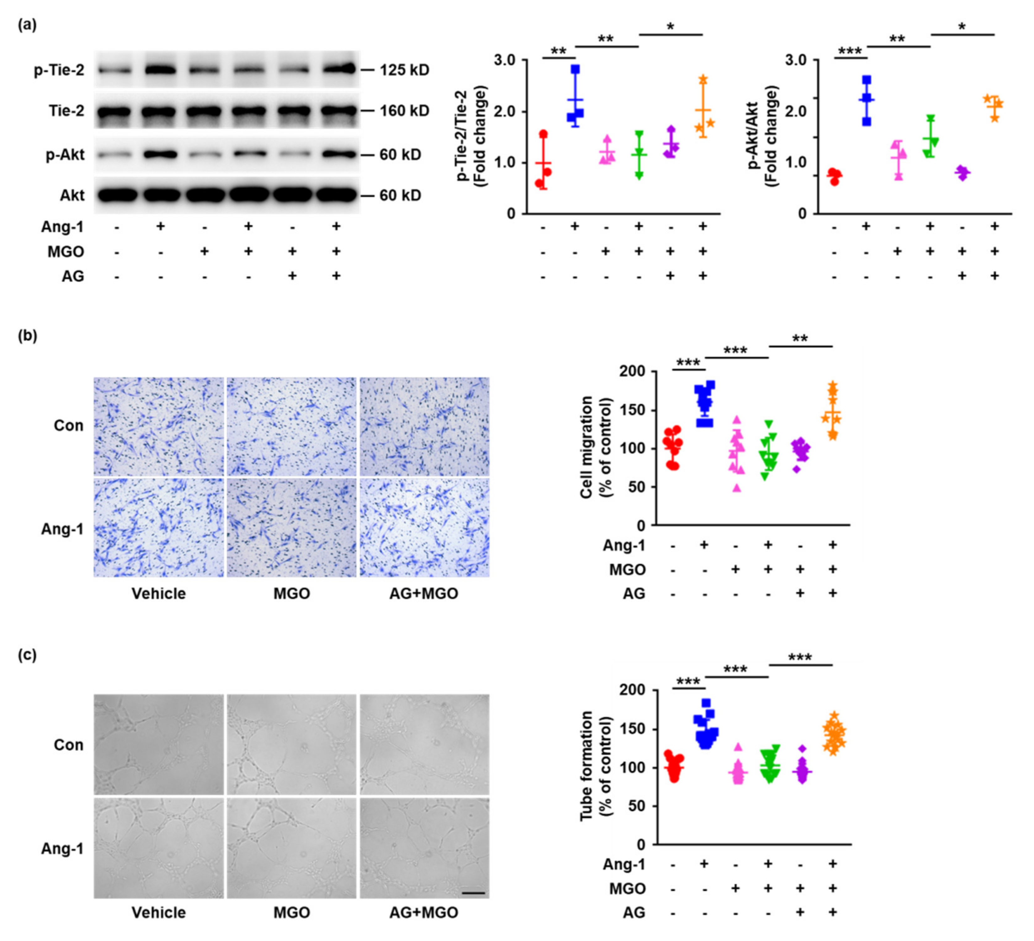 Ijms 23 07137 g004 550