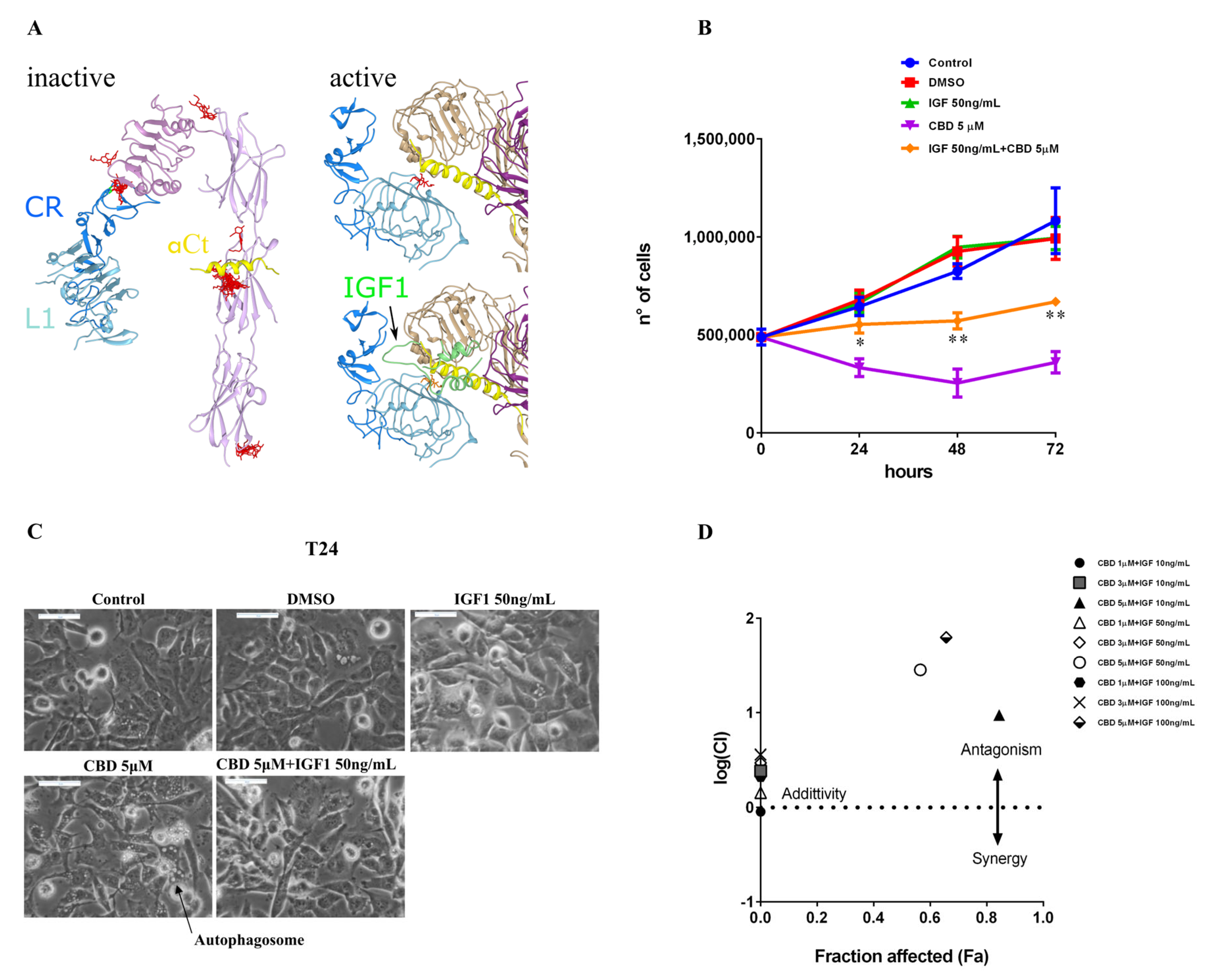 Ijms 23 07145 g007 550