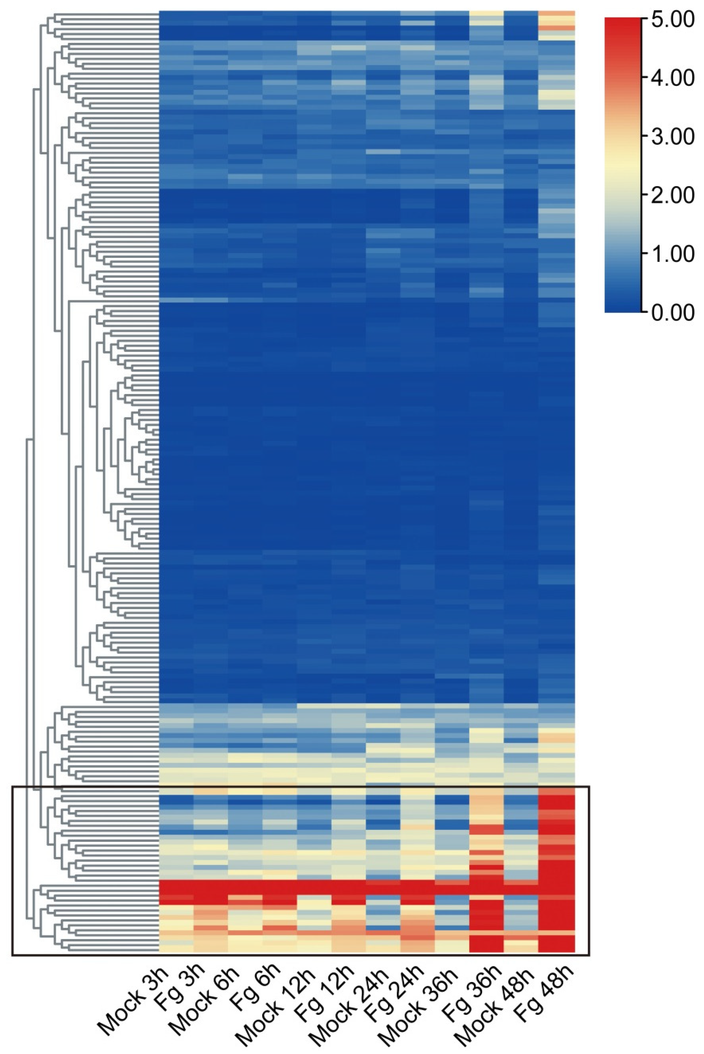 Ijms 23 07157 g006 550