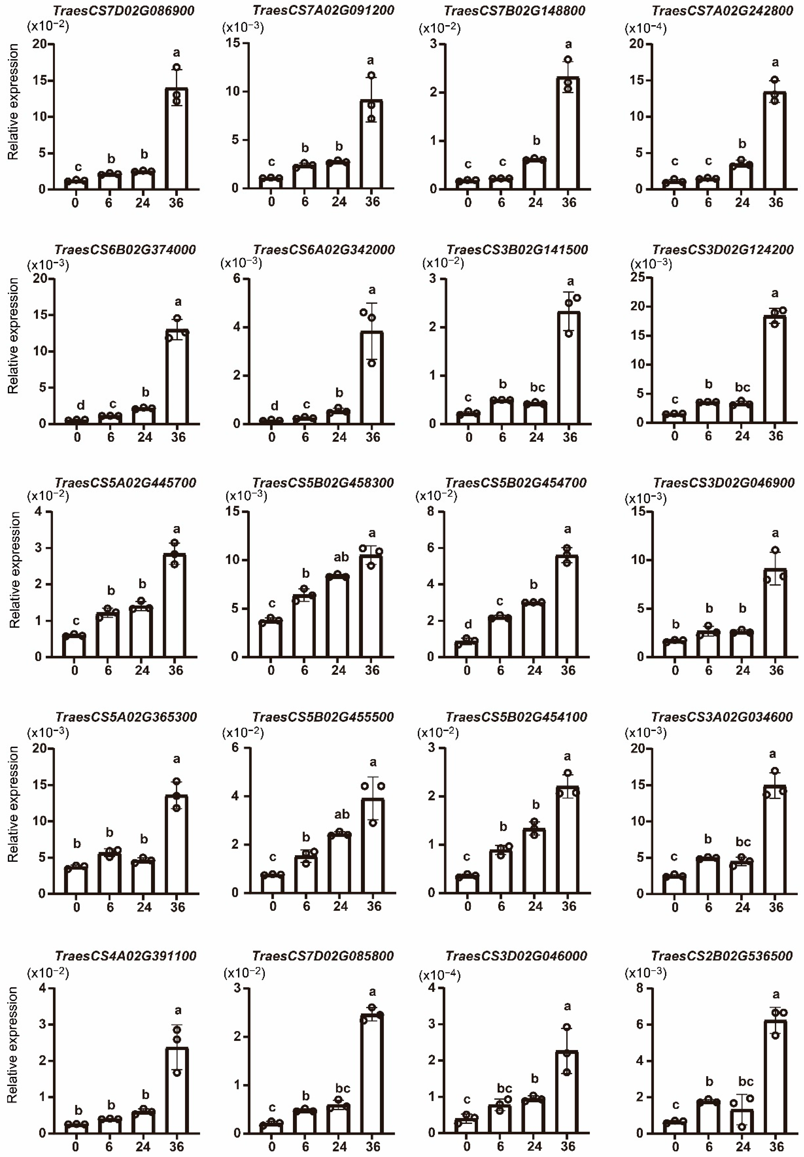 Ijms 23 07157 g007 550