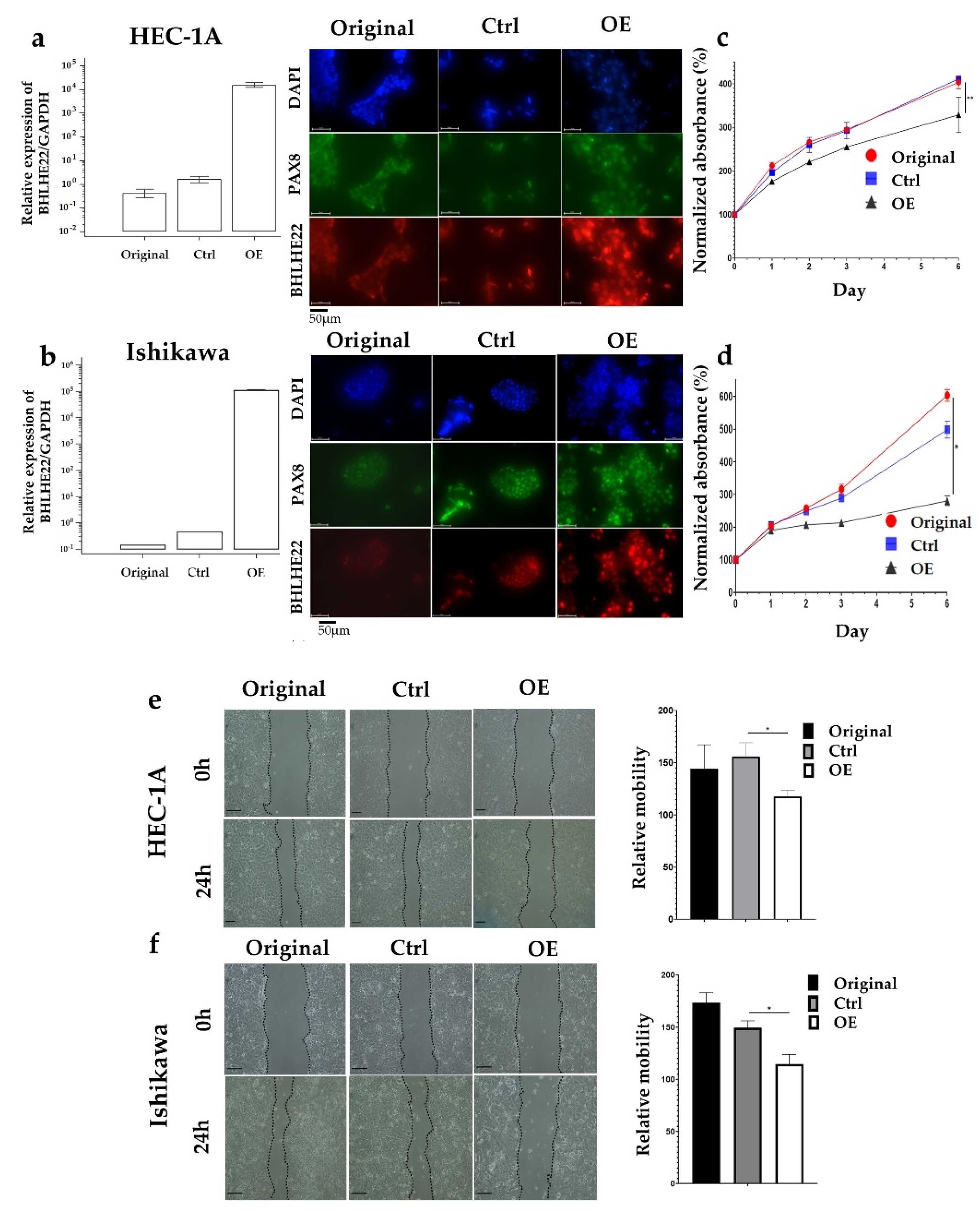 Ijms 23 07158 g003 Ijms 23 07158 g003