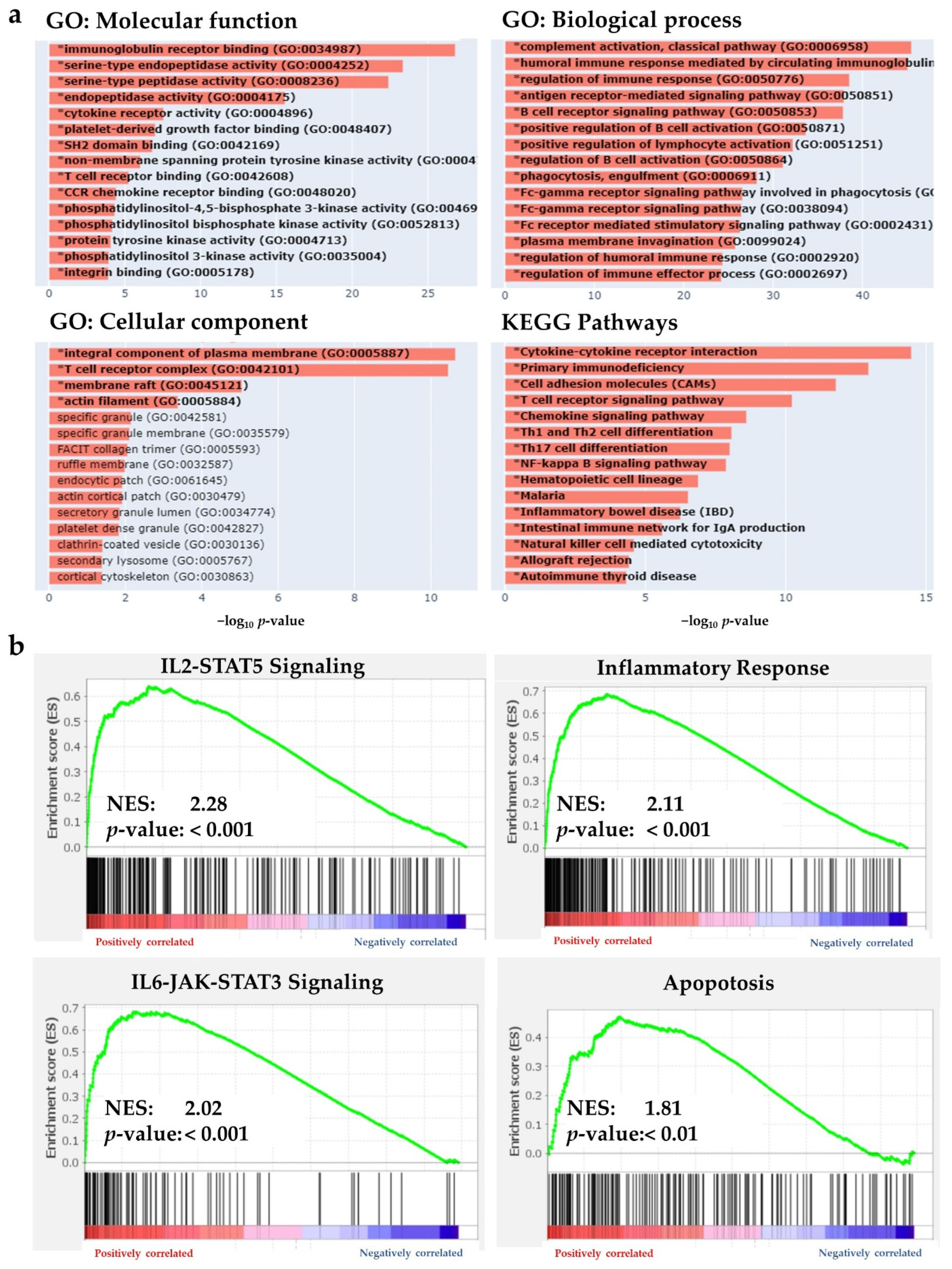 Ijms 23 07158 g004 Ijms 23 07158 g004