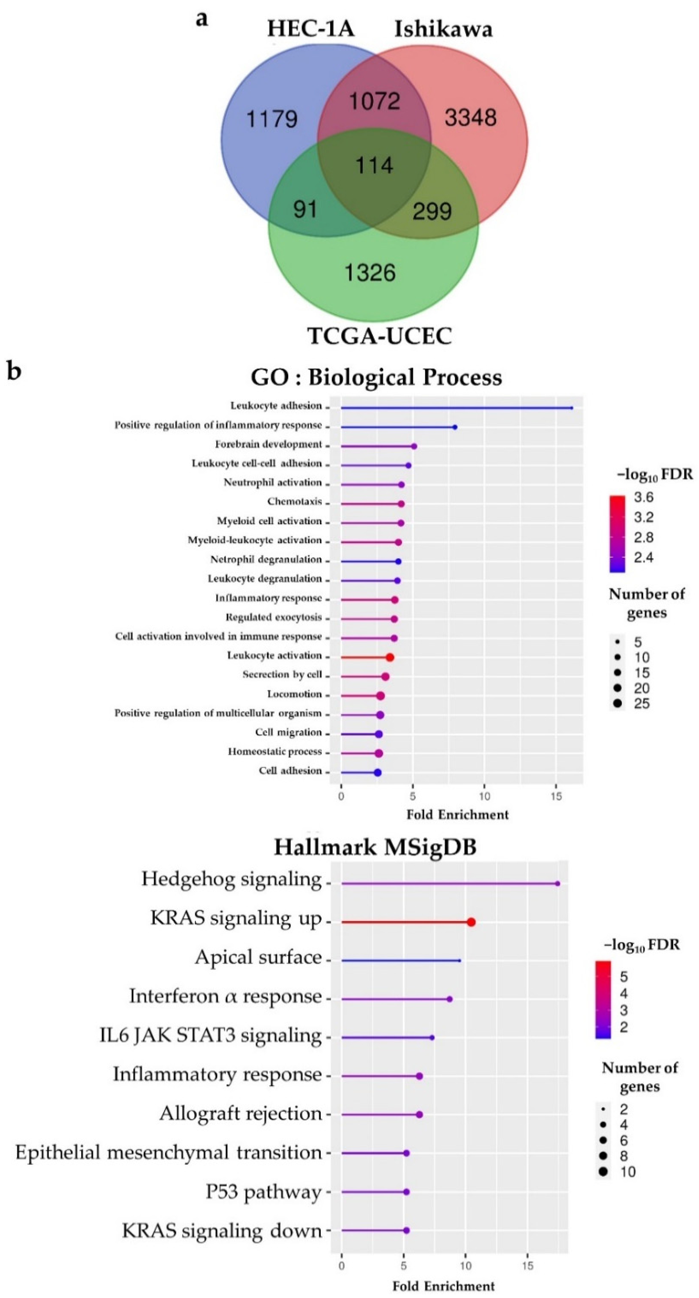 Ijms 23 07158 g005 Ijms 23 07158 g005
