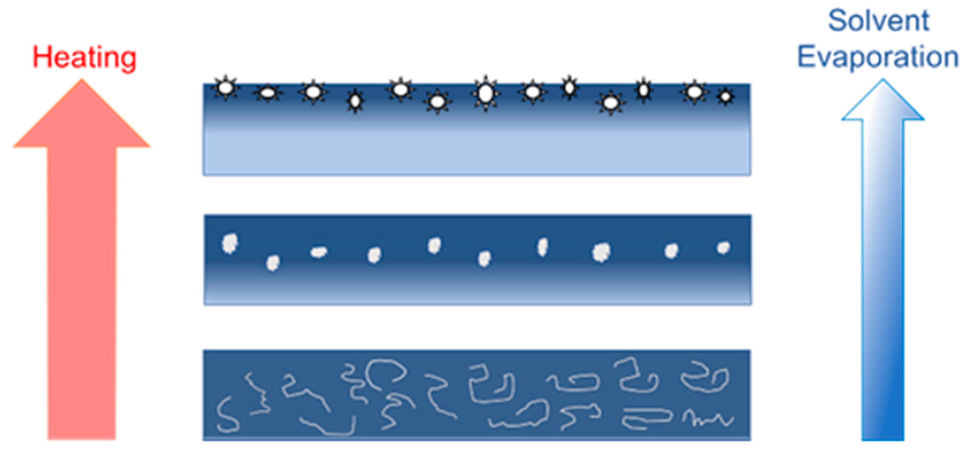 Ijms 23 07164 g006 550