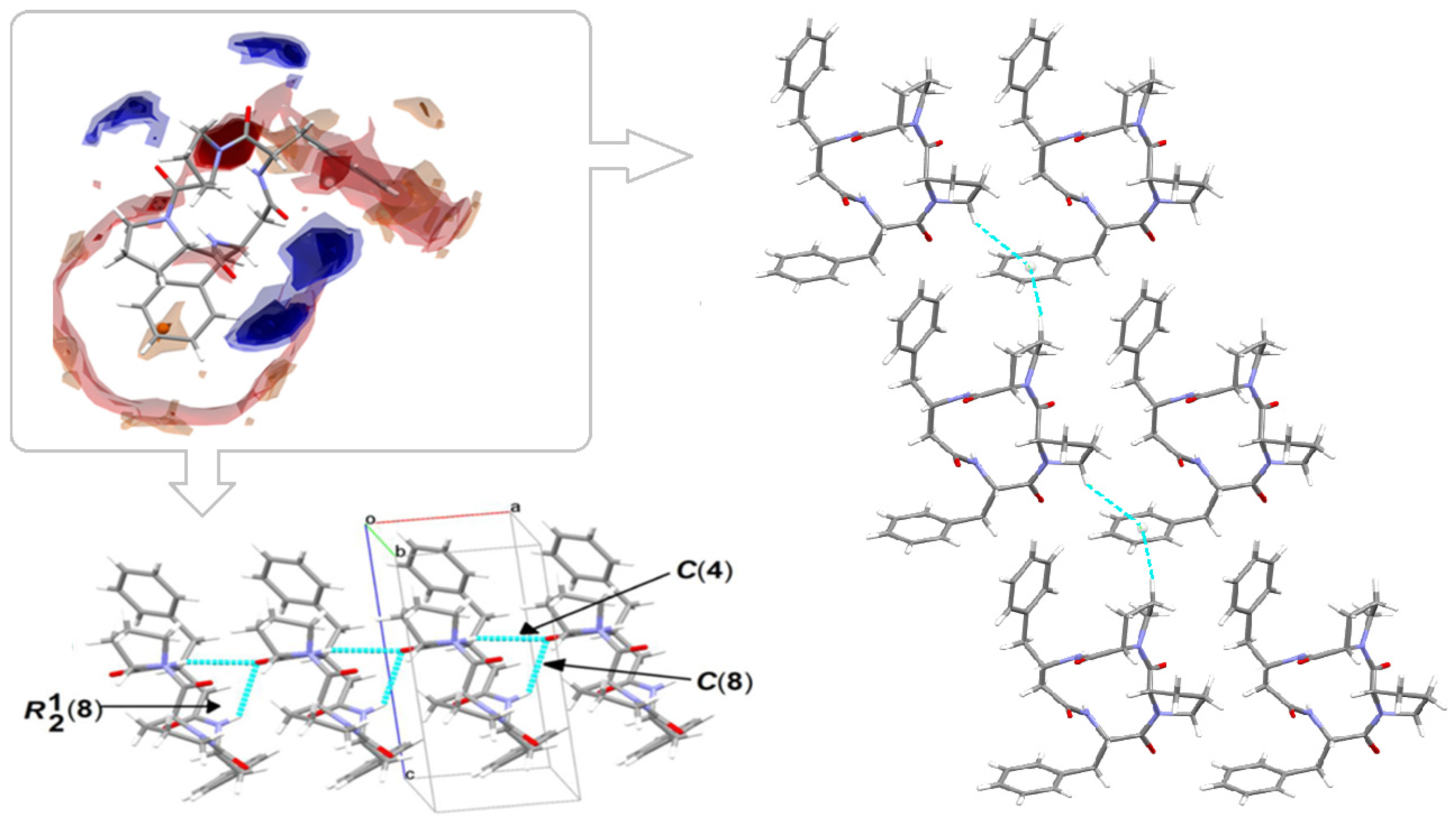 Ijms 23 07173 g010 Ijms 23 07173 g010