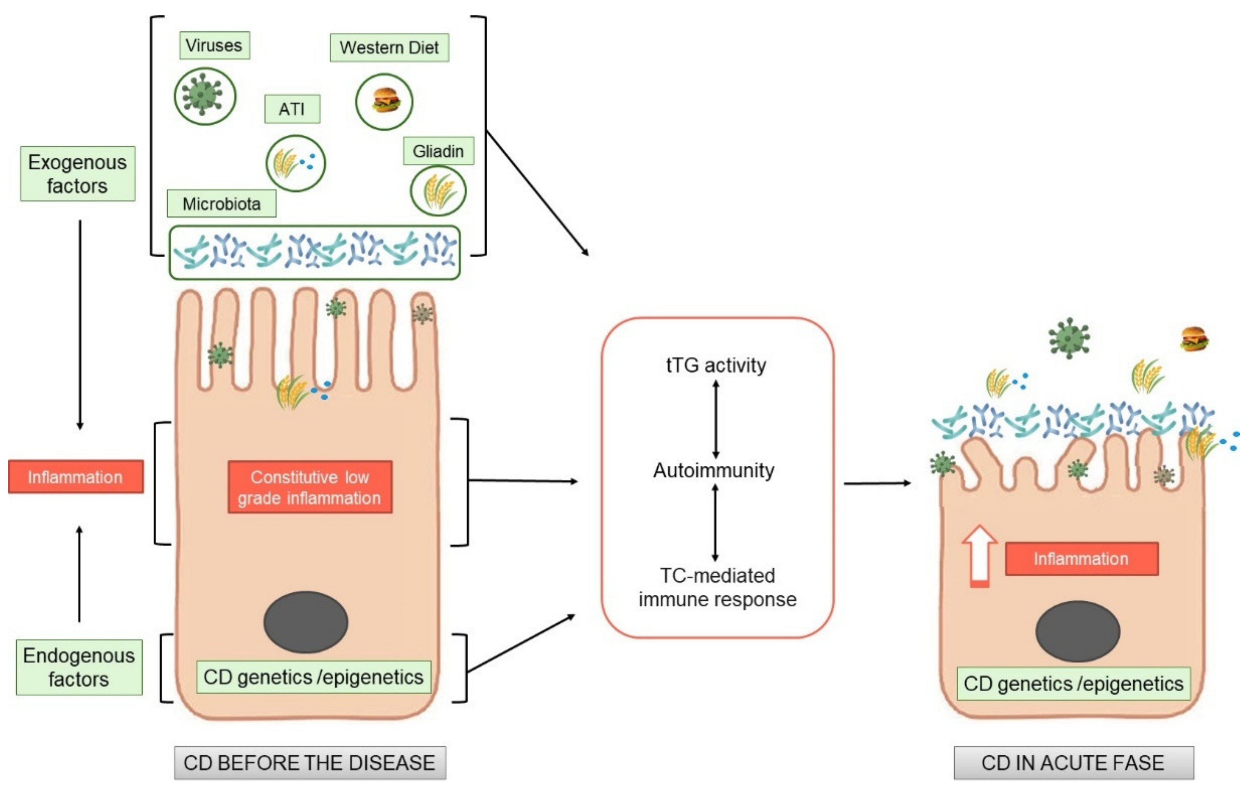 Ijms 23 07177 g001 550