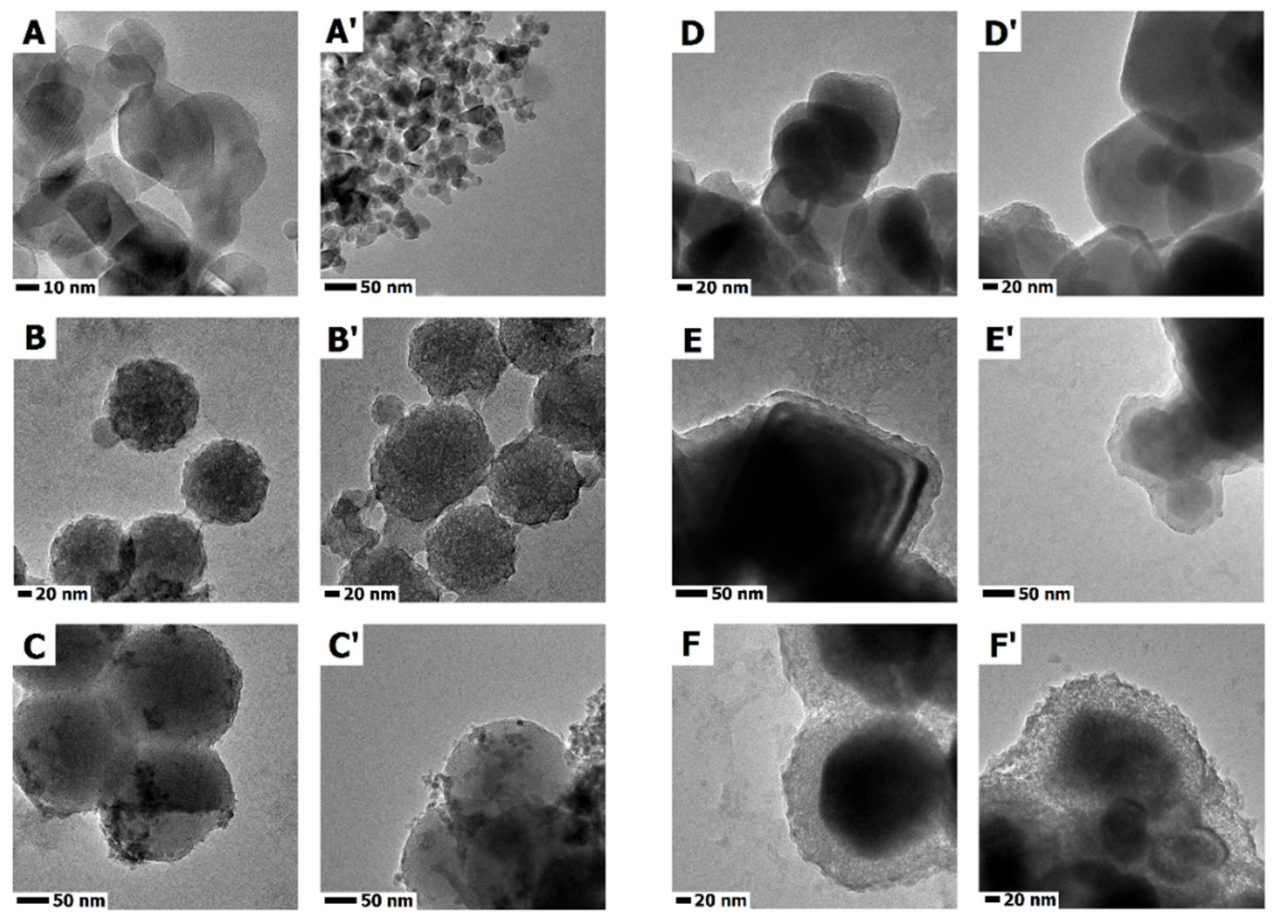 Ijms 23 07179 g001 550