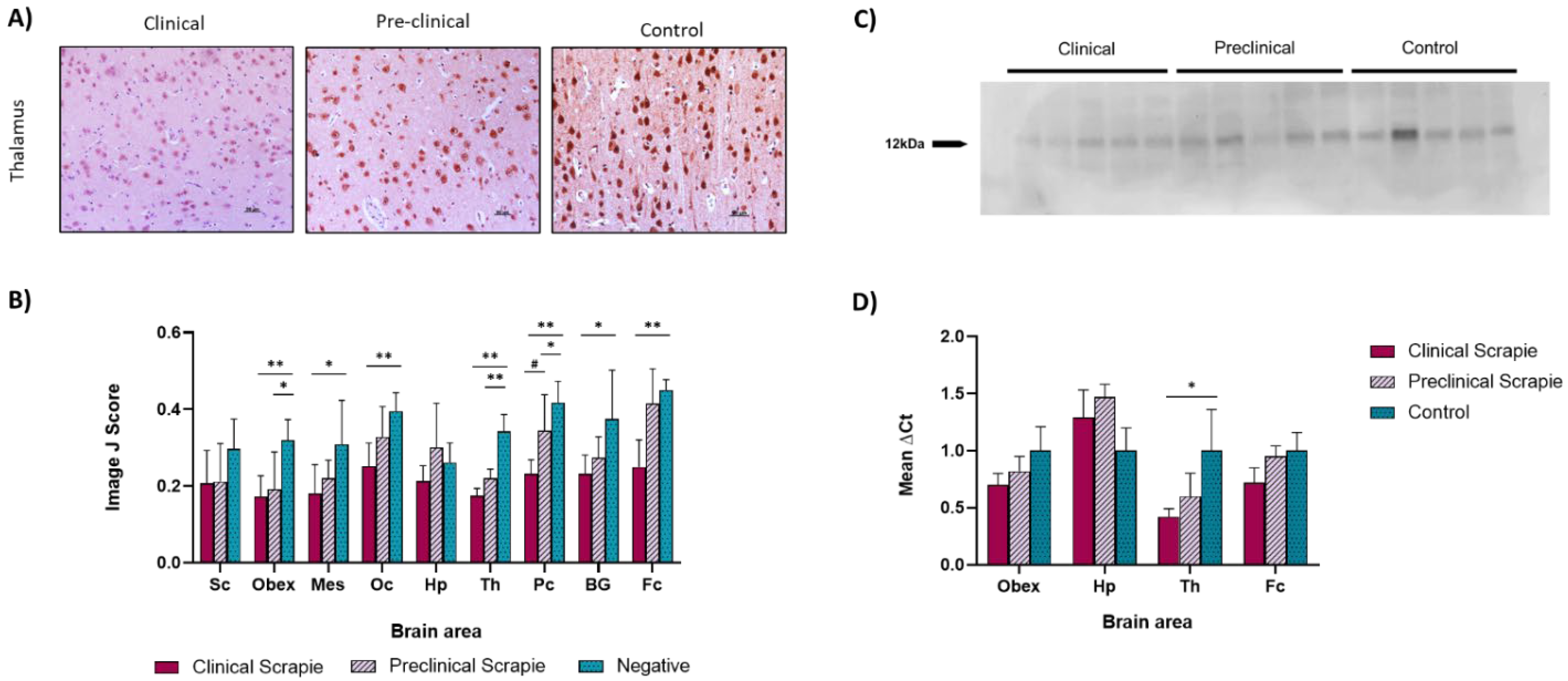 Ijms 23 07182 g001 550