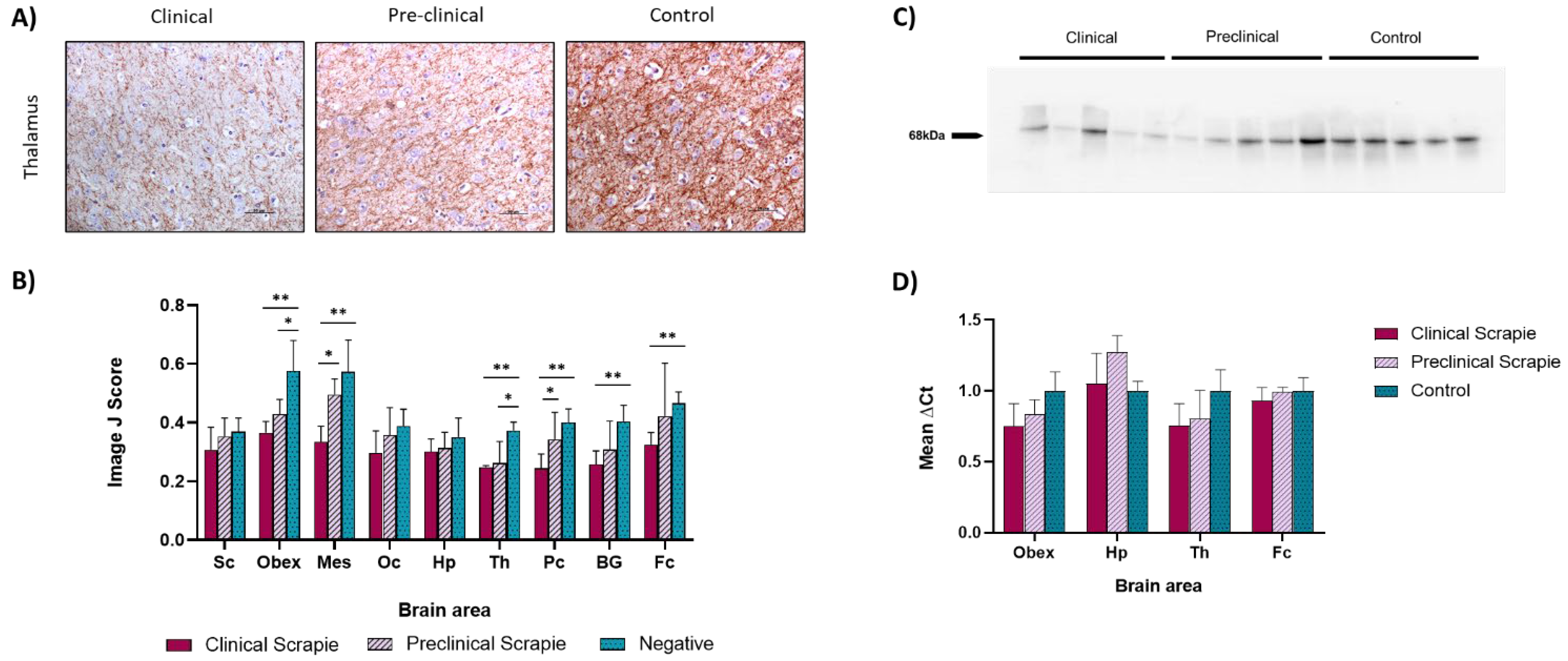 Ijms 23 07182 g002 550