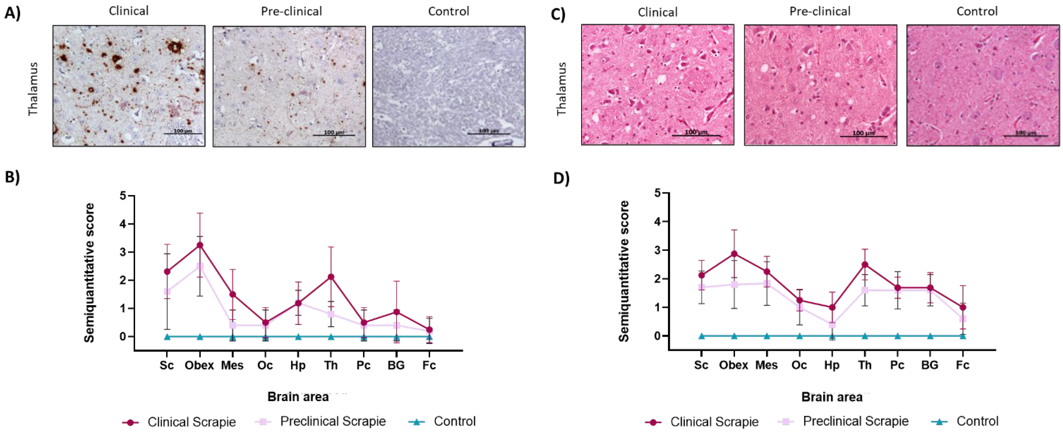 Ijms 23 07182 g003 550