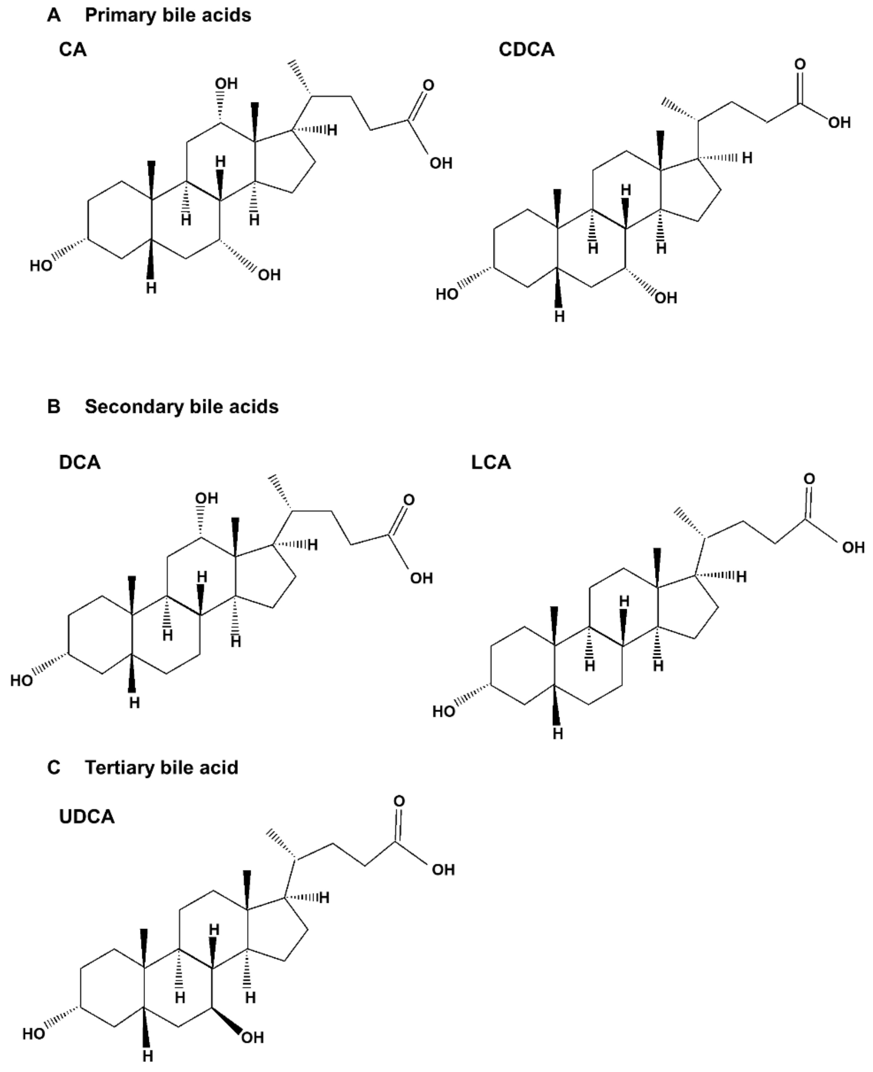 Ijms 23 07184 g001 Ijms 23 07184 g001