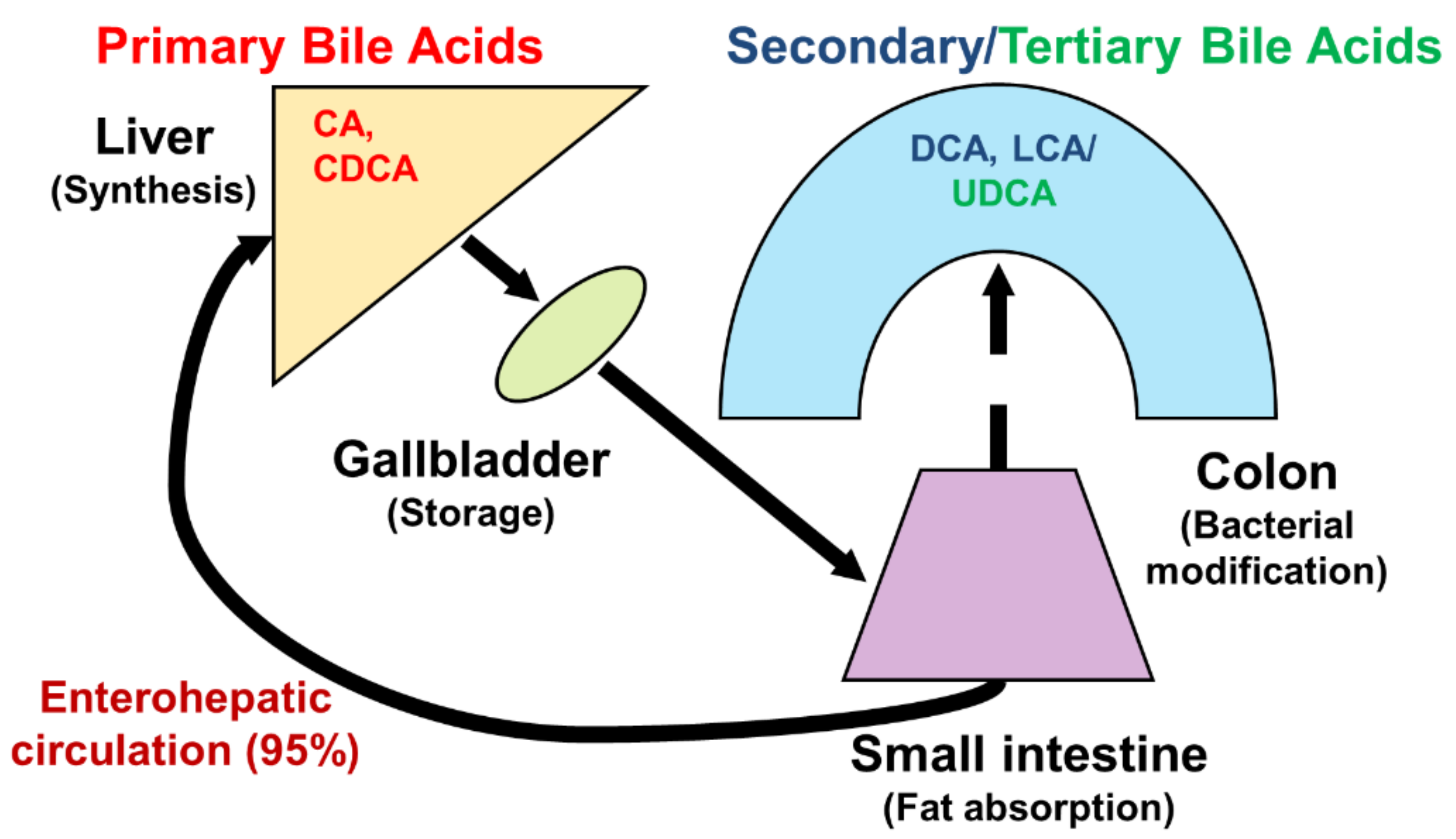 Ijms 23 07184 g002 Ijms 23 07184 g002